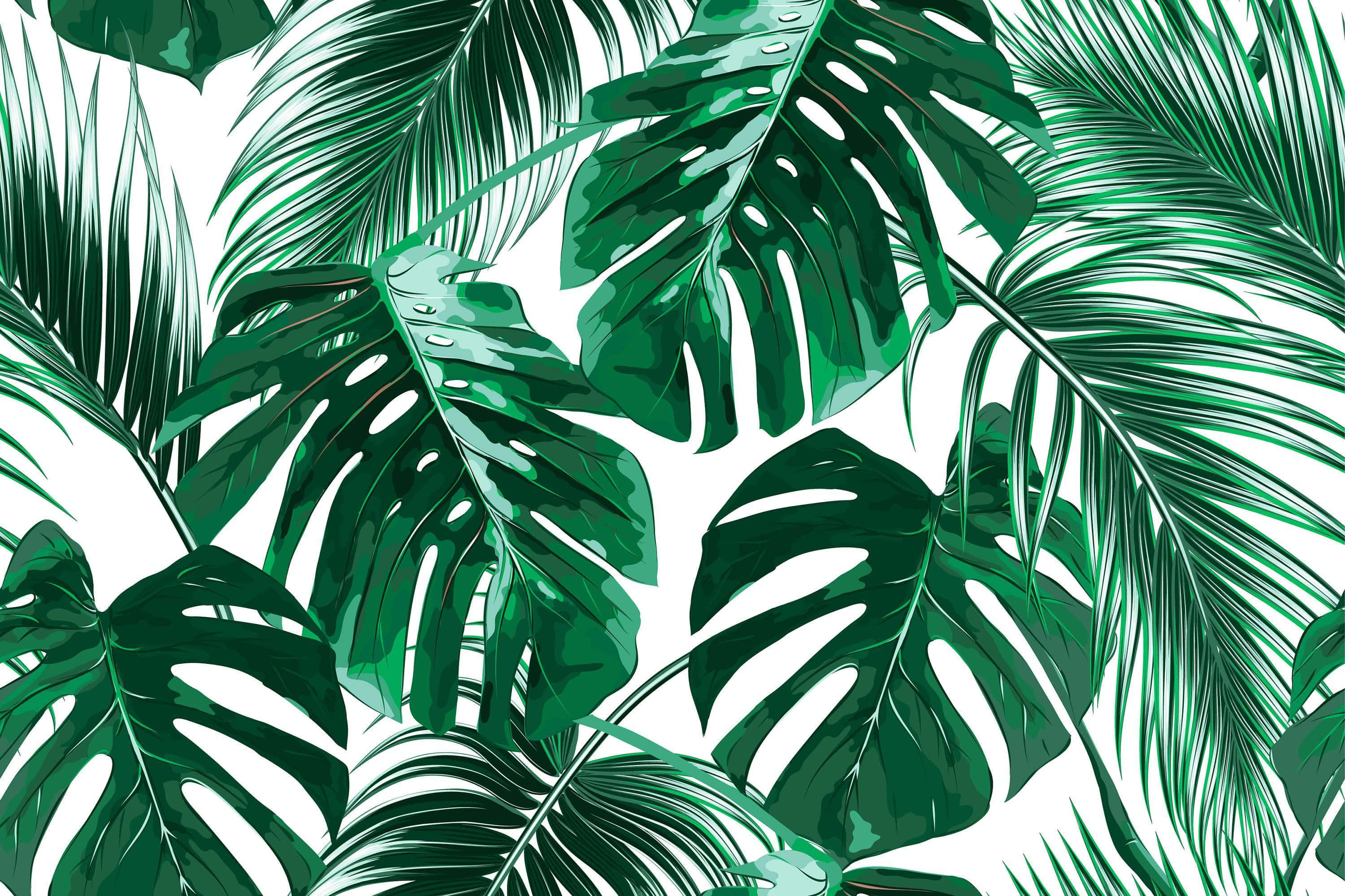 tropical leaves, white background, glossy highlights, 2K Desktop Wallpaper