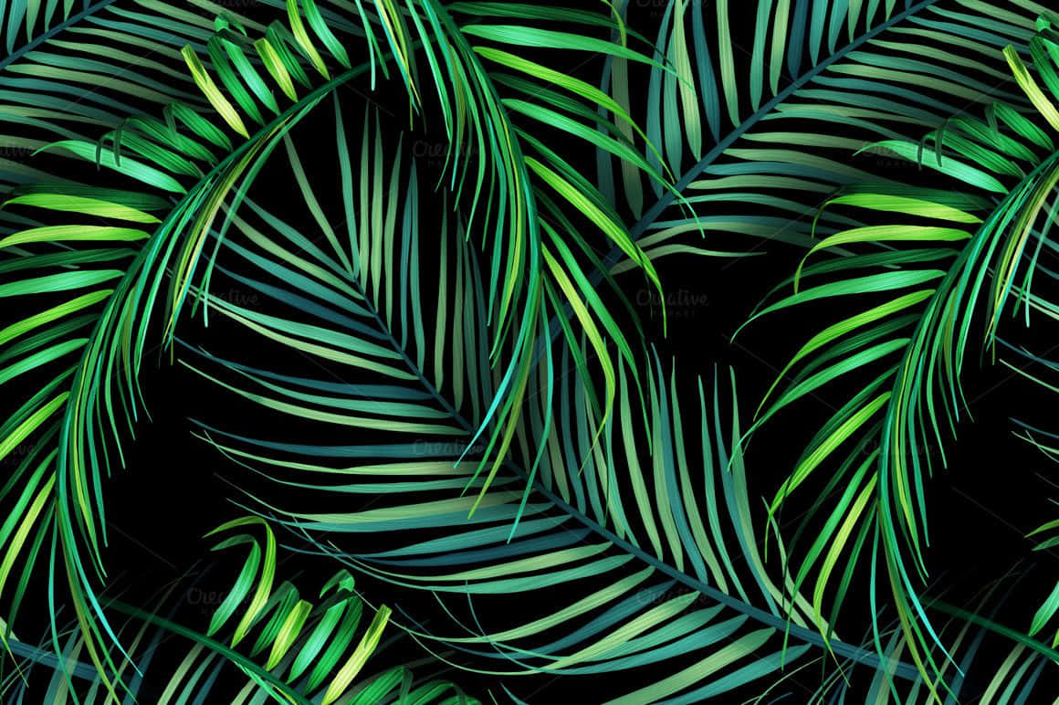 Tropical Leaves Desktop, vibrant green palm fronds, glowing highlights, SD Desktop Wallpaper