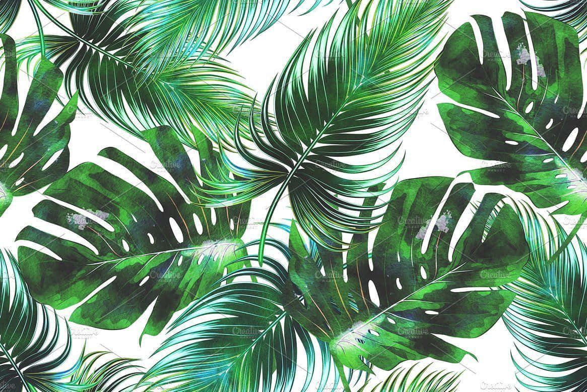 tropical leaves desktop, 1165 x 777, rich green hues, SD Desktop Wallpaper