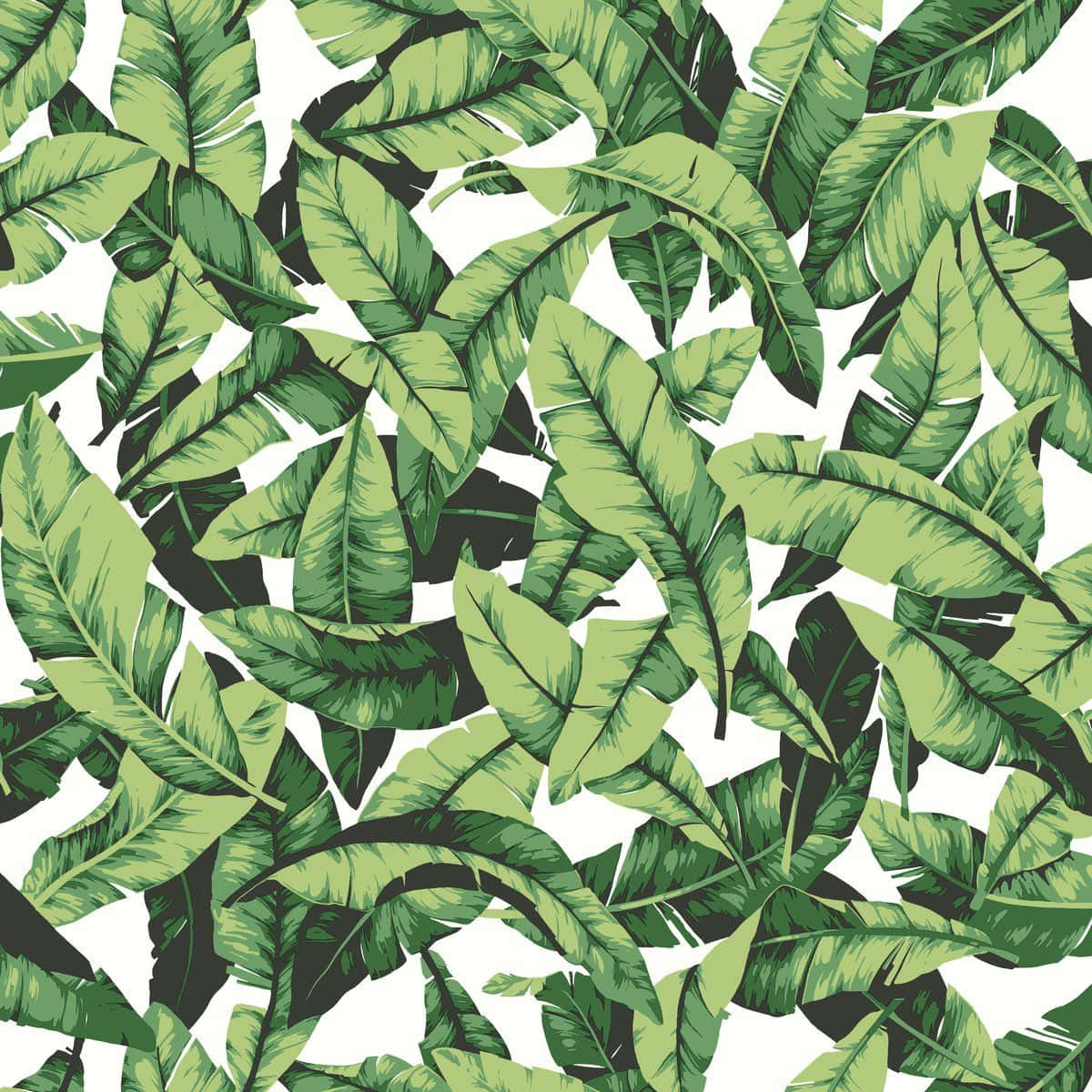 tropical leaves desktop, green banana leaves, dense tropical pattern, SD Desktop Wallpaper