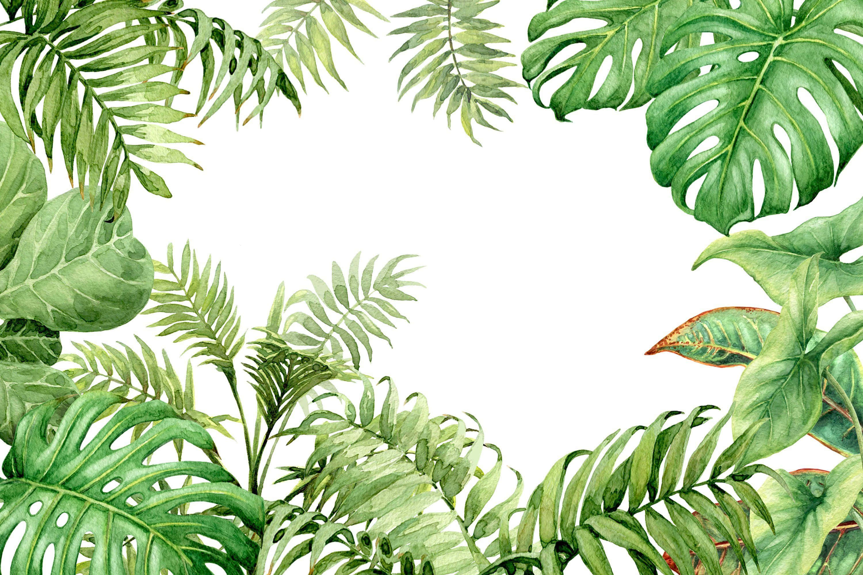 Tropical Plants, vibrant watercolor tropical leaves, lush green border, 2K Desktop Wallpaper