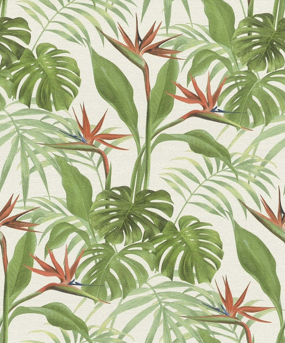 Tropical Plants, red bird of paradise, monstera leaves, SD Phone Wallpaper