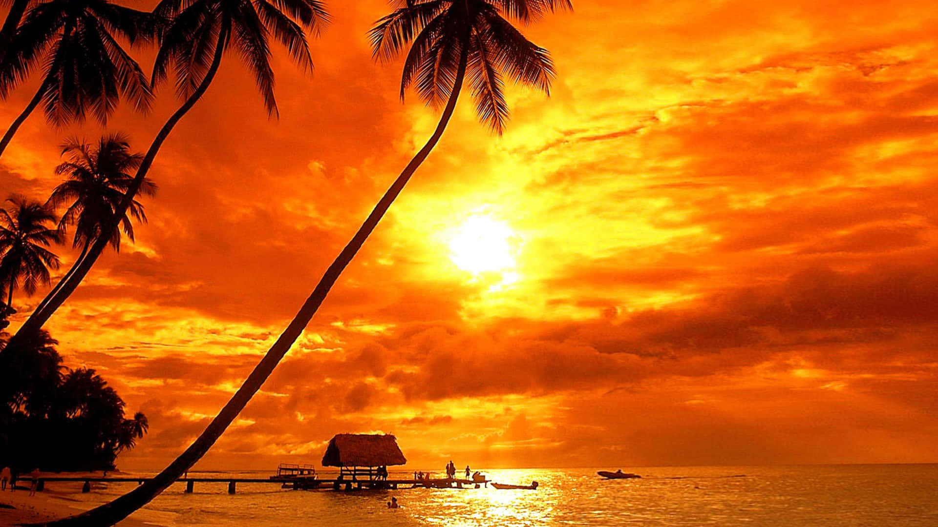 Tropical Sunset, fiery orange sunset, palm trees, Full HD Desktop Wallpaper