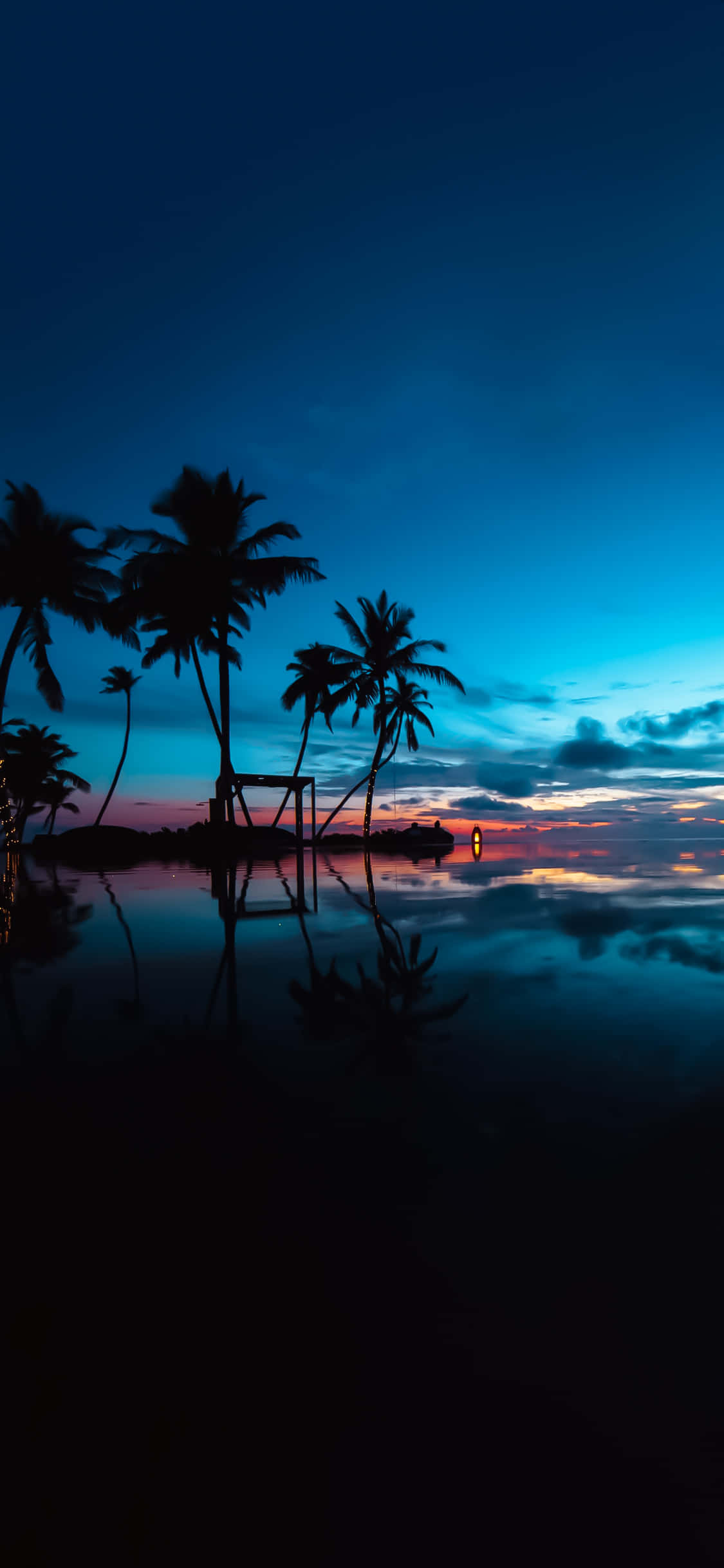 Tropical Sunset, light blue skies, palm trees, Full HD Phone Wallpaper