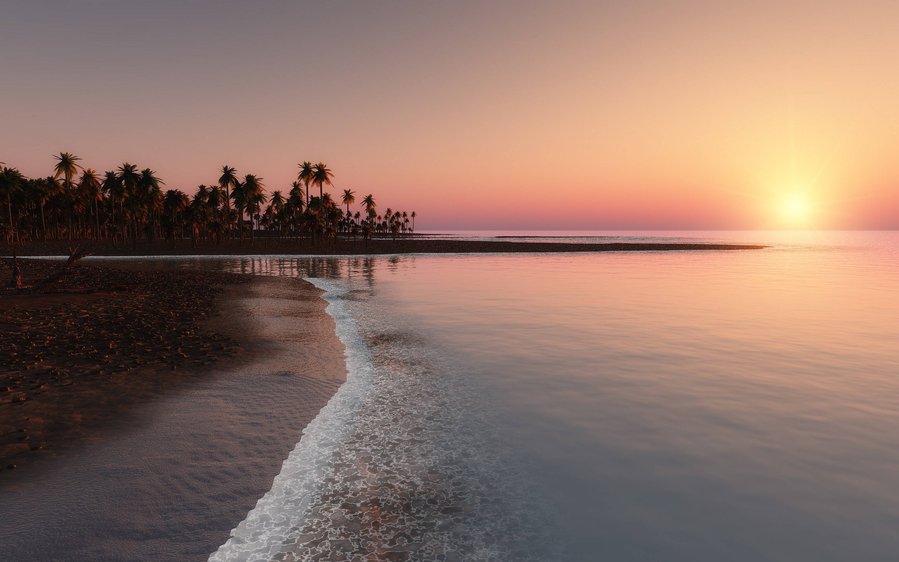 Sunset, beach, palm trees, 2K Desktop Wallpaper