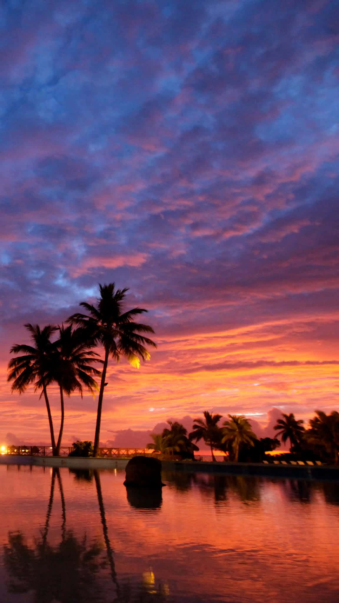 Tropical Sunset, pool reflection, silhouetted palm trees, Full HD Phone Wallpaper