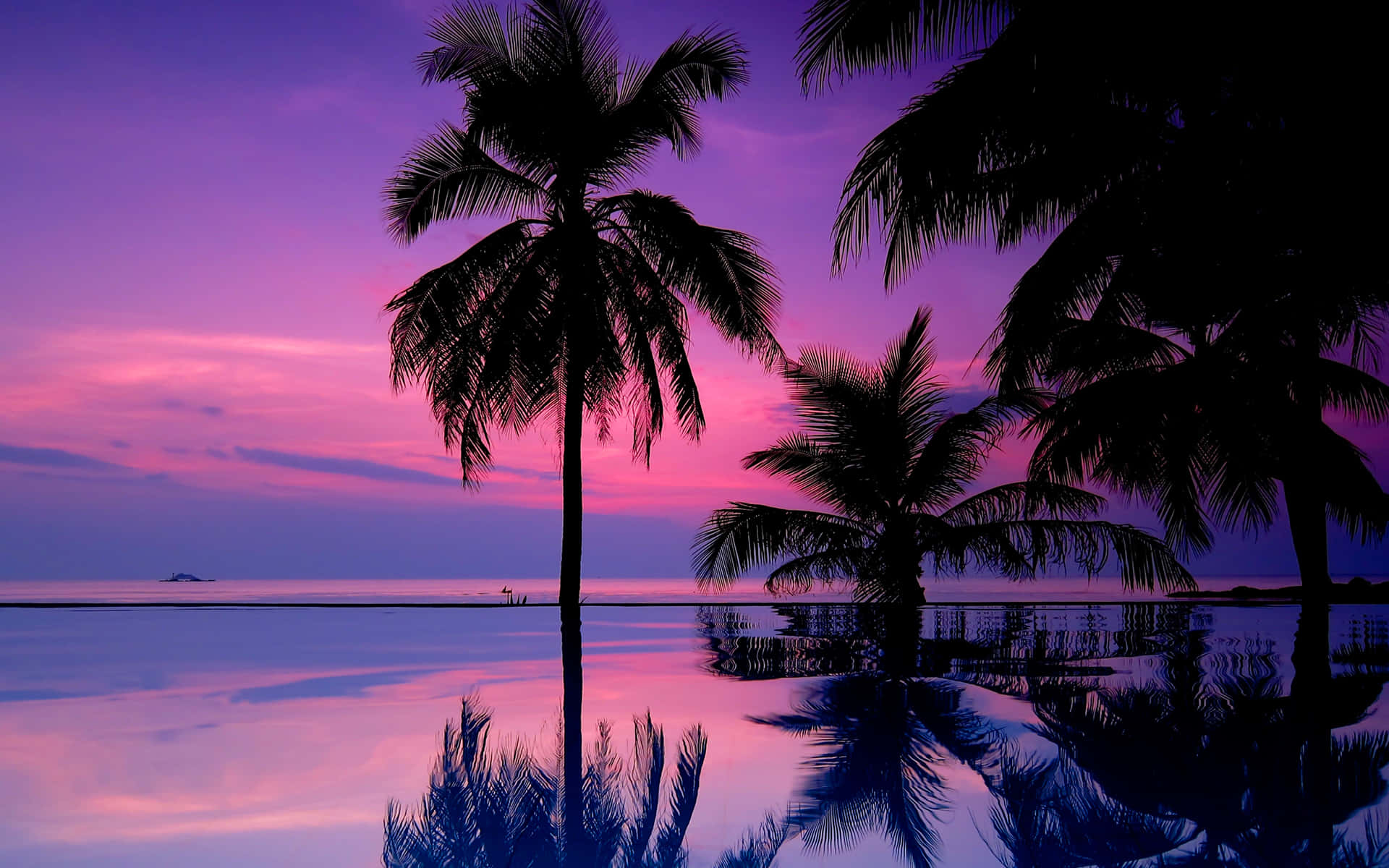 Tropical Sunset, violet and pink skies, palm trees, Full HD Desktop Wallpaper