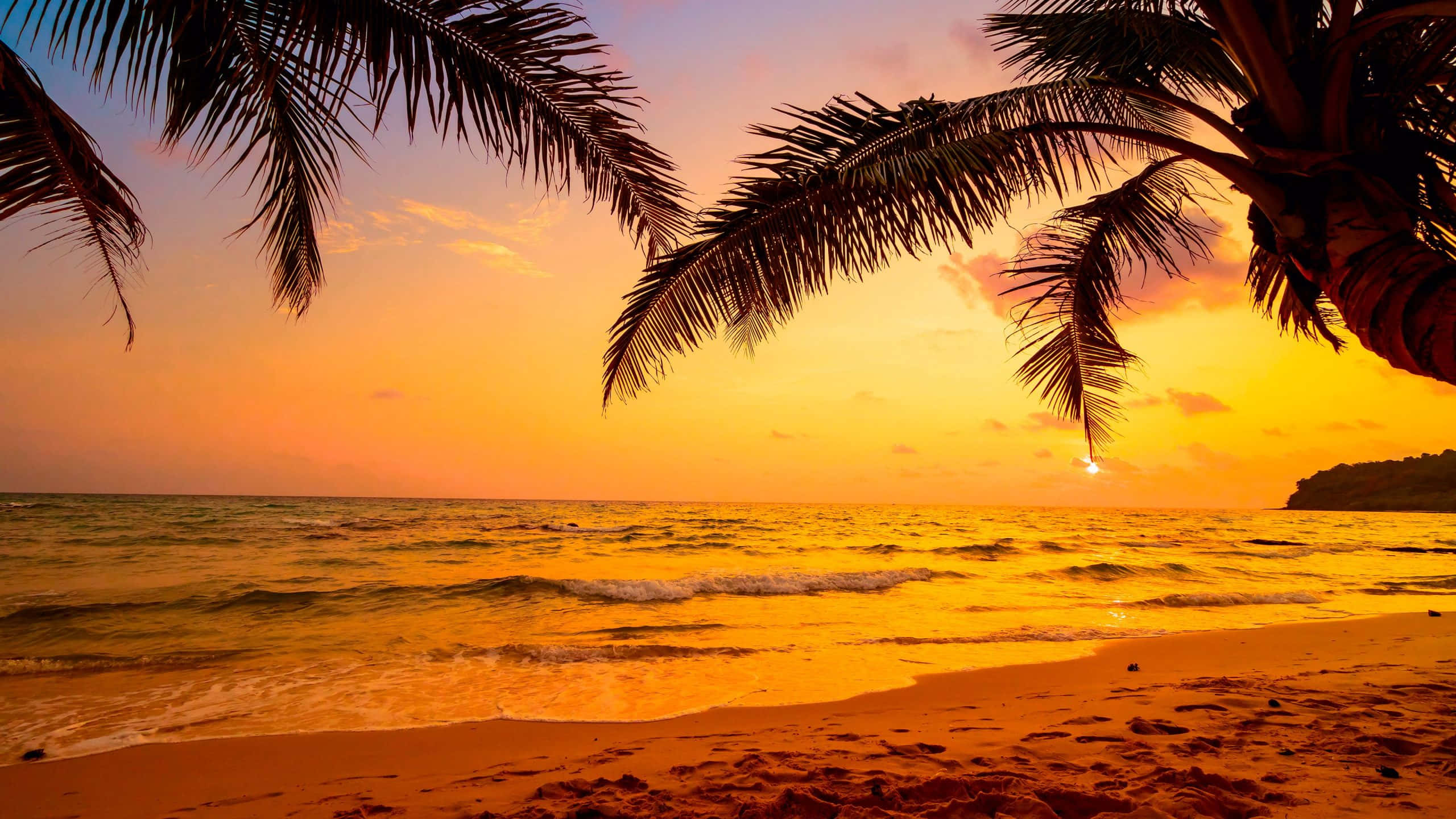 Tropical Sunset, golden sunset, tranquil ocean beach, 2K Desktop Wallpaper