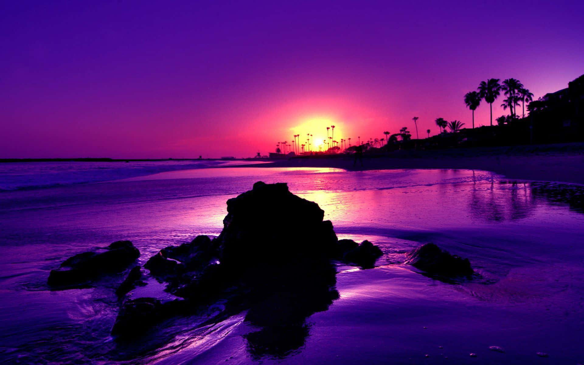 Tropical Sunset, purple tint, vibrant purple, Full HD Desktop Wallpaper