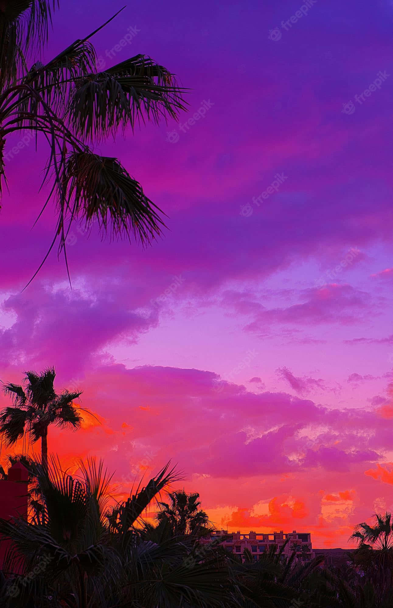 Tropical Sunset, purple and orange skies, palm trees, Full HD Phone Wallpaper