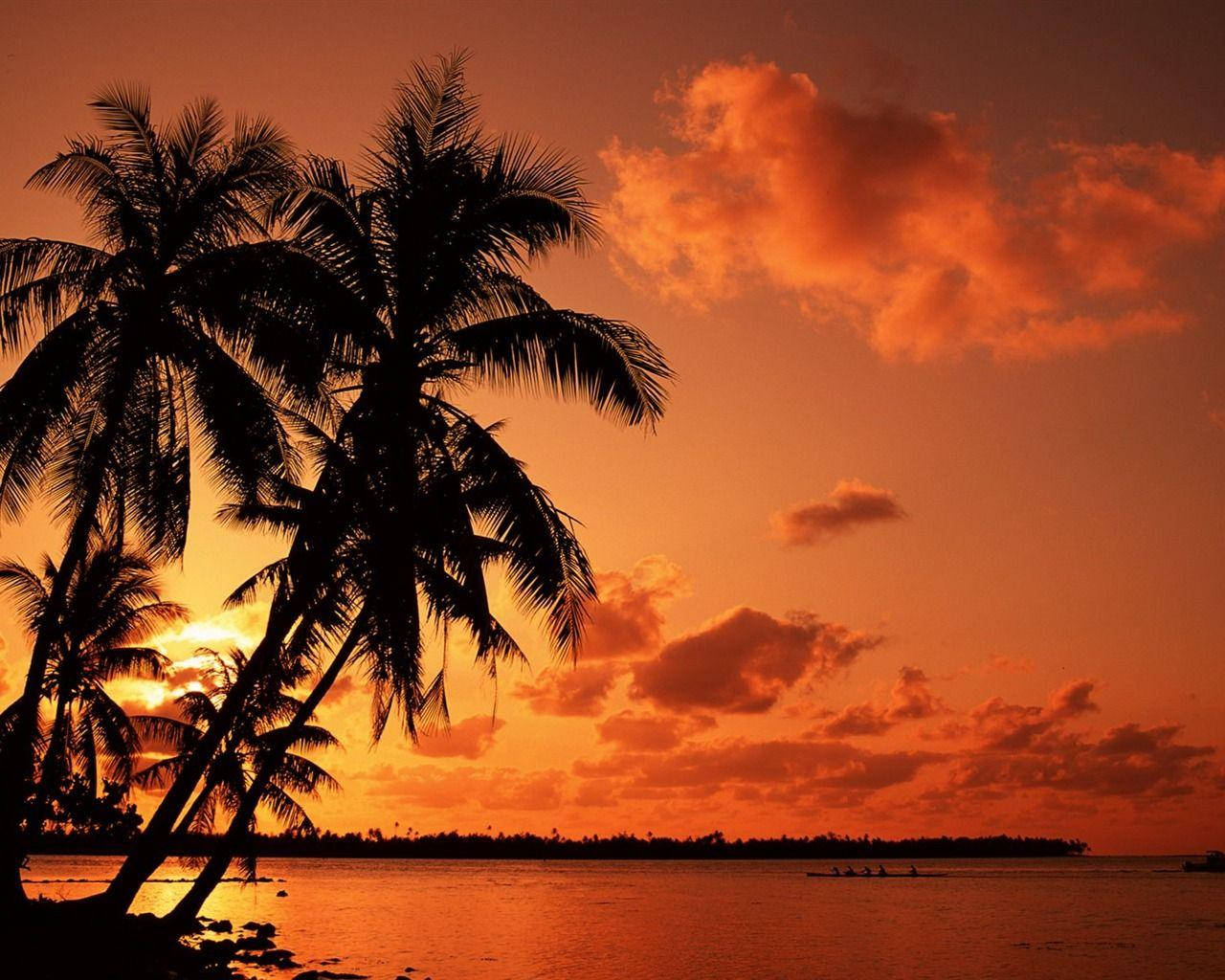 Tropical Beach Sunset, fiery orange sunset, calm tropical waters, HD Desktop Wallpaper