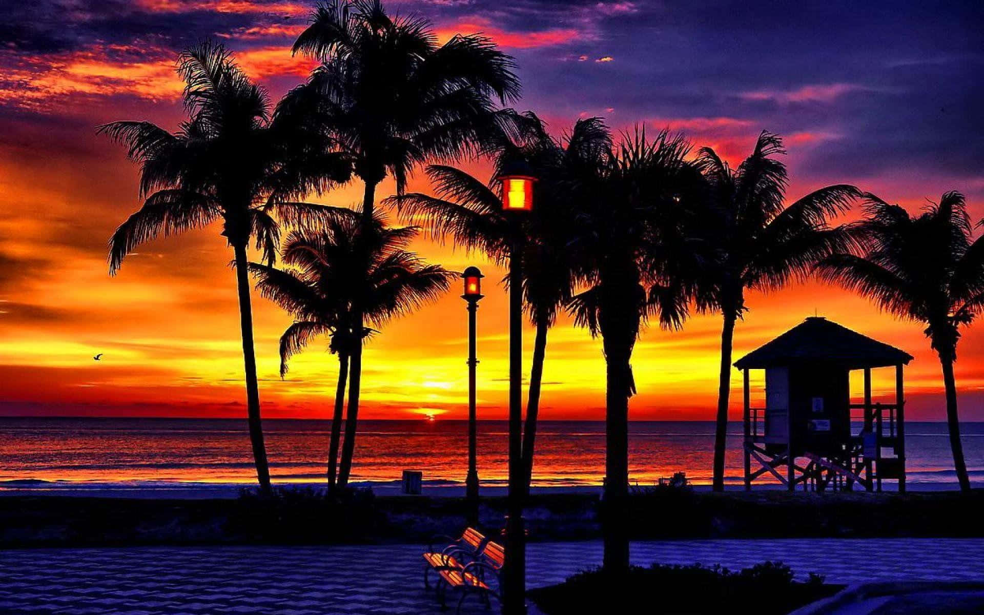 Tropical Sunset, palm trees, lifeguard tower, Full HD Desktop Wallpaper