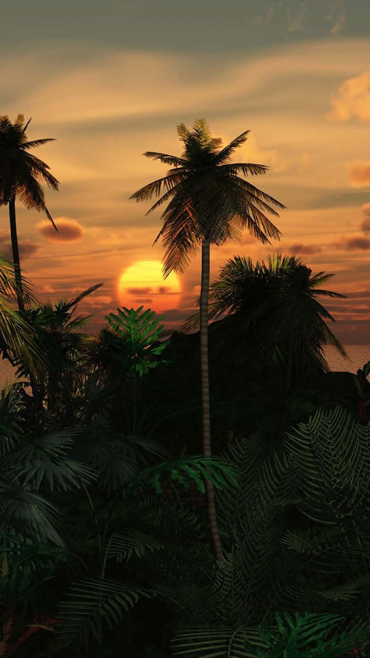 tropical, palm trees, fiery orange sunset, HD Phone Wallpaper