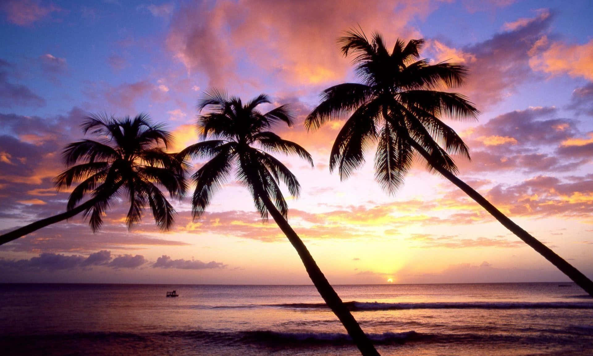 Tropical Beach, Palm Trees, Sunset, Full HD Desktop Wallpaper