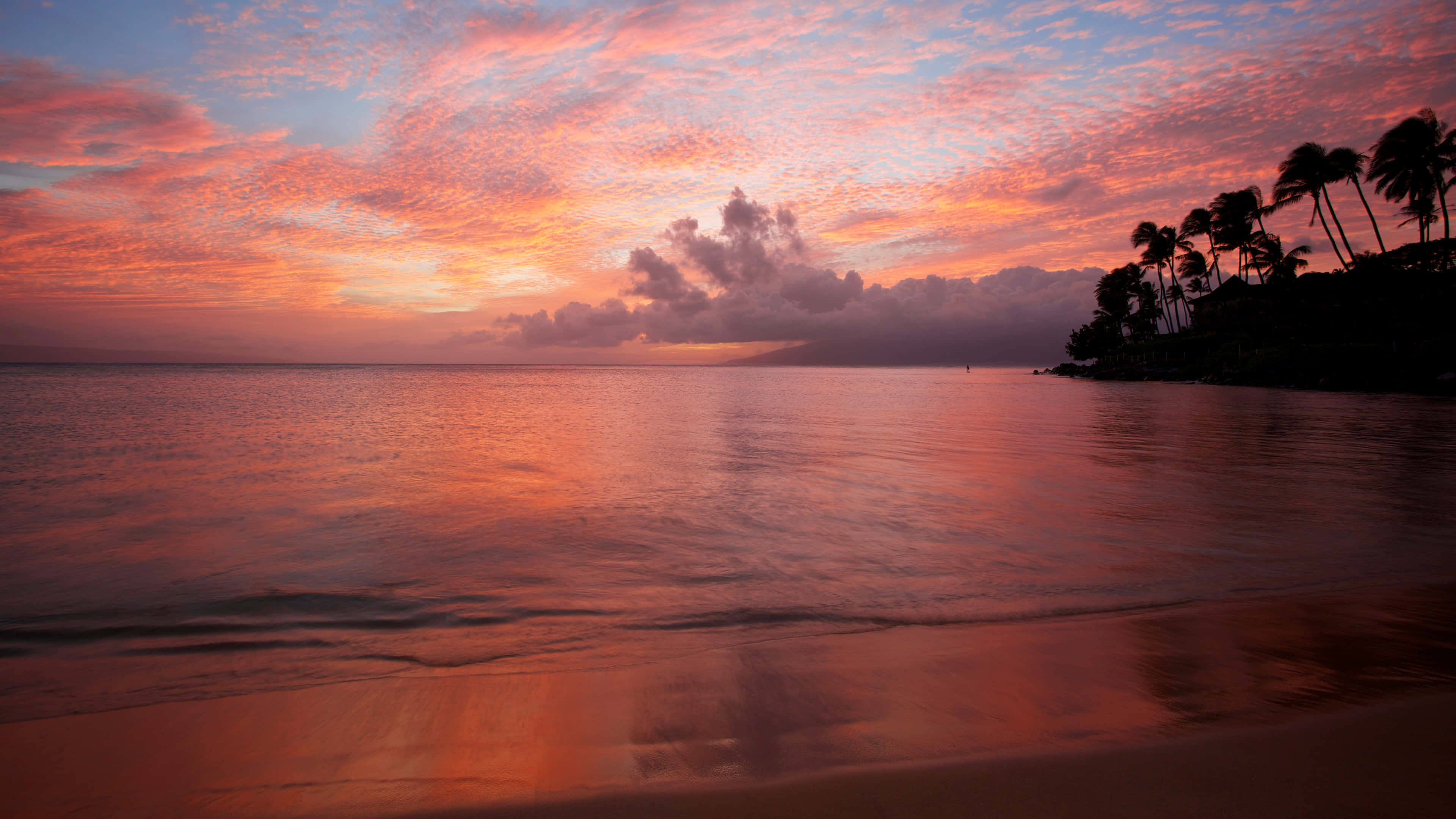 Tropical Beach Sunset, fiery orange, pink, 4K Desktop Wallpaper