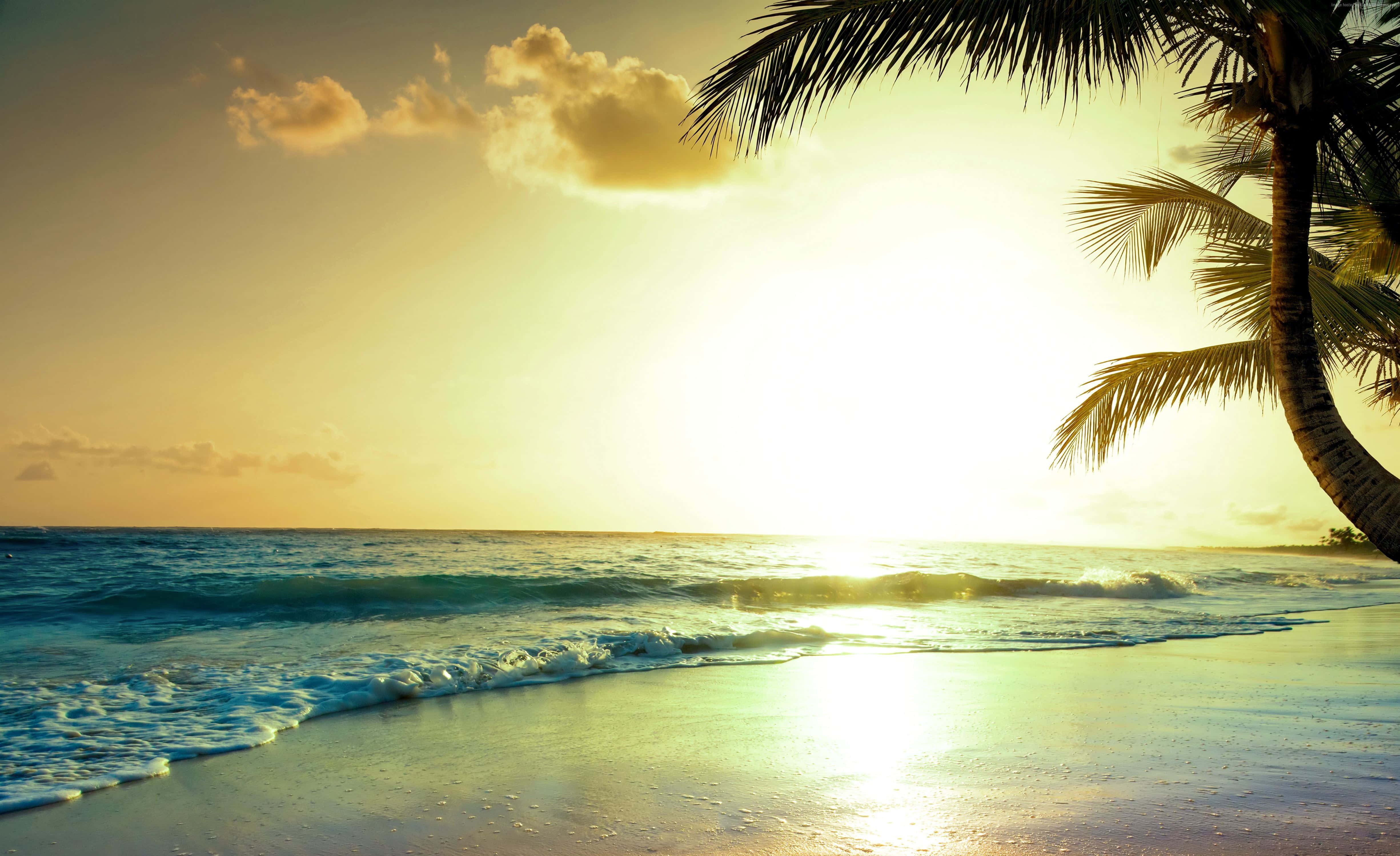 Tropical Sunset, golden sunset, turquoise waves, 4K Desktop Wallpaper