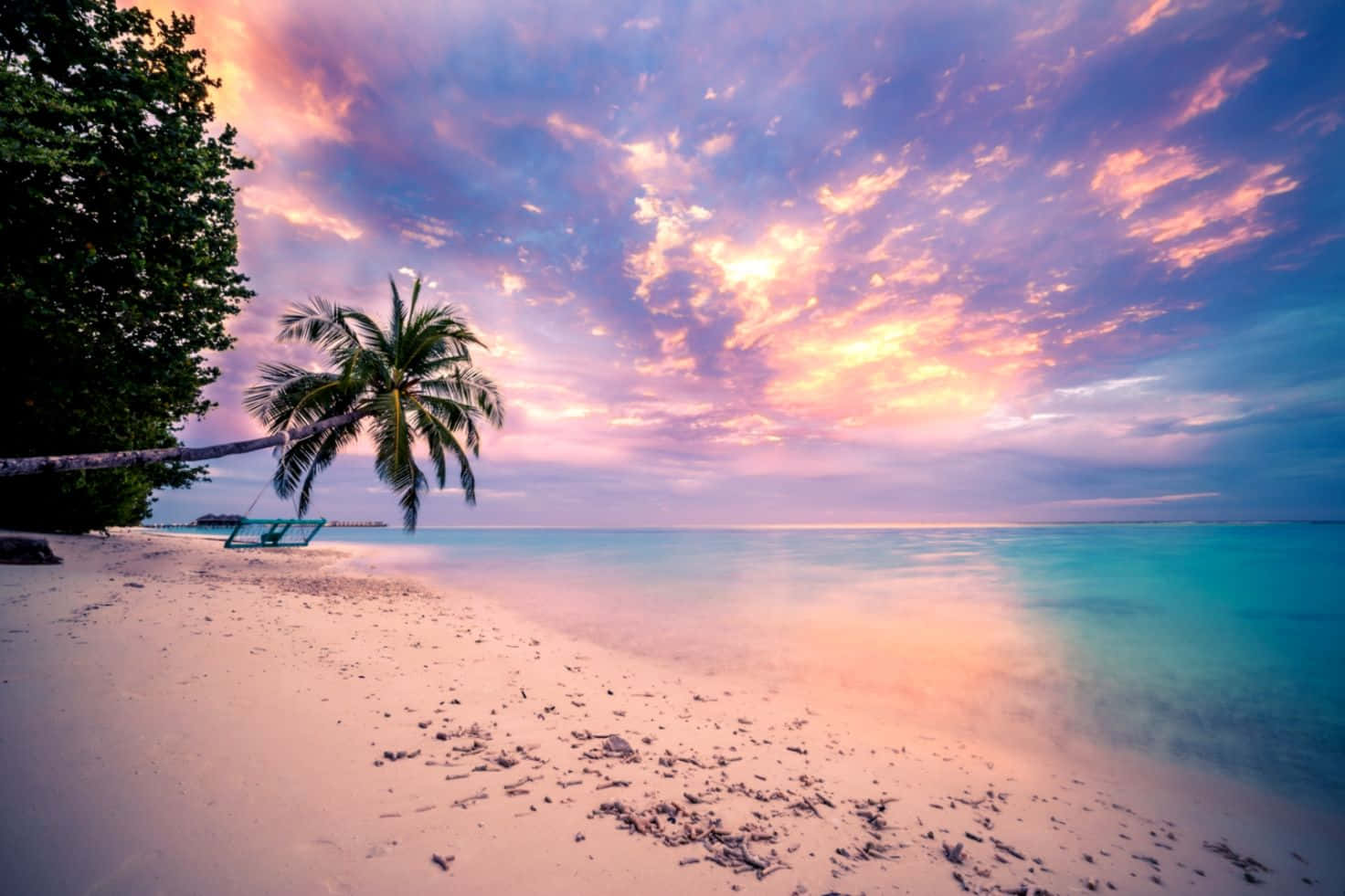 Tropical Sunset, purple sky, palm tree, HD Desktop Wallpaper