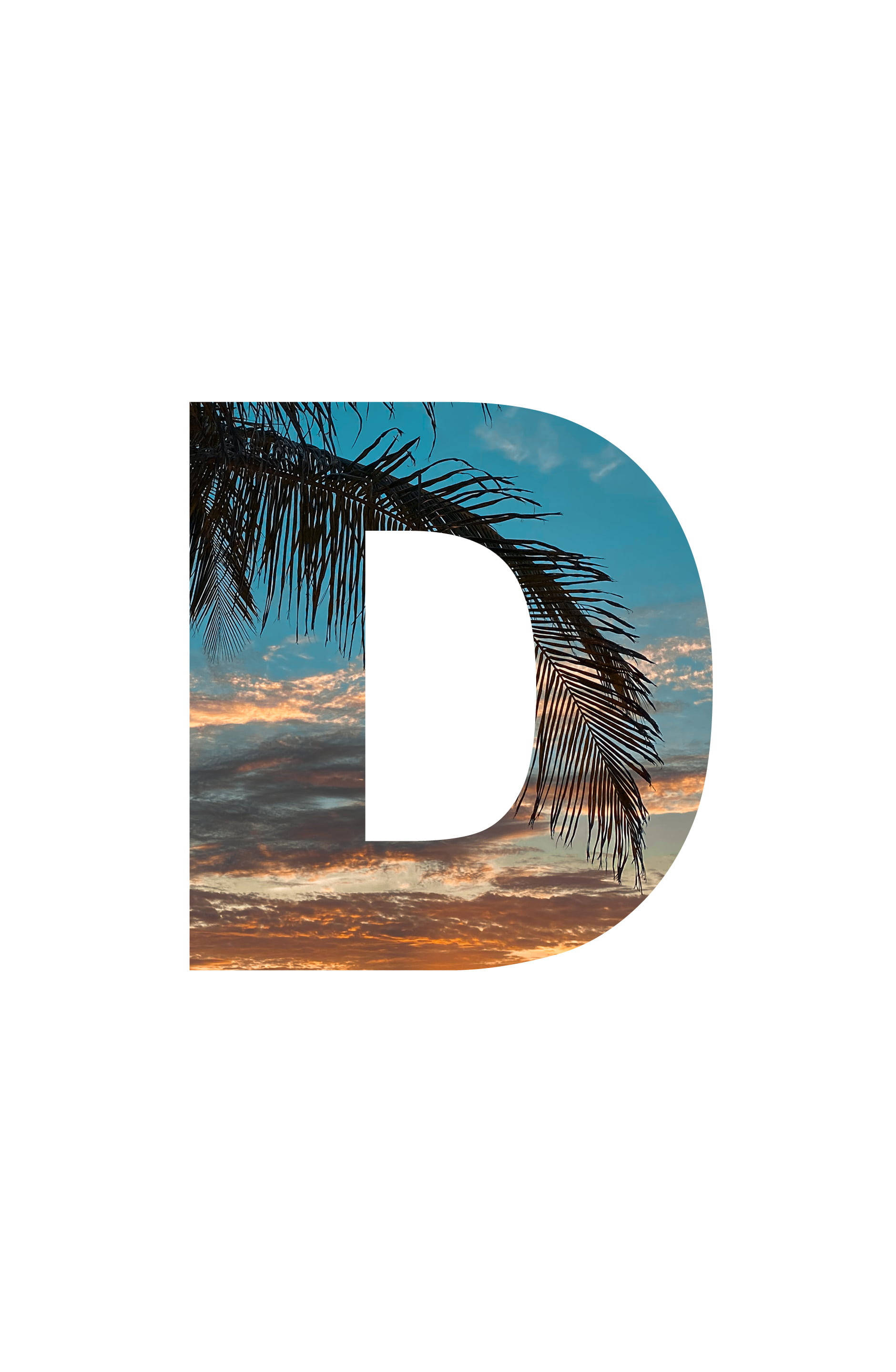 letter D, tropical sunset, palm fronds, 2K Phone Wallpaper