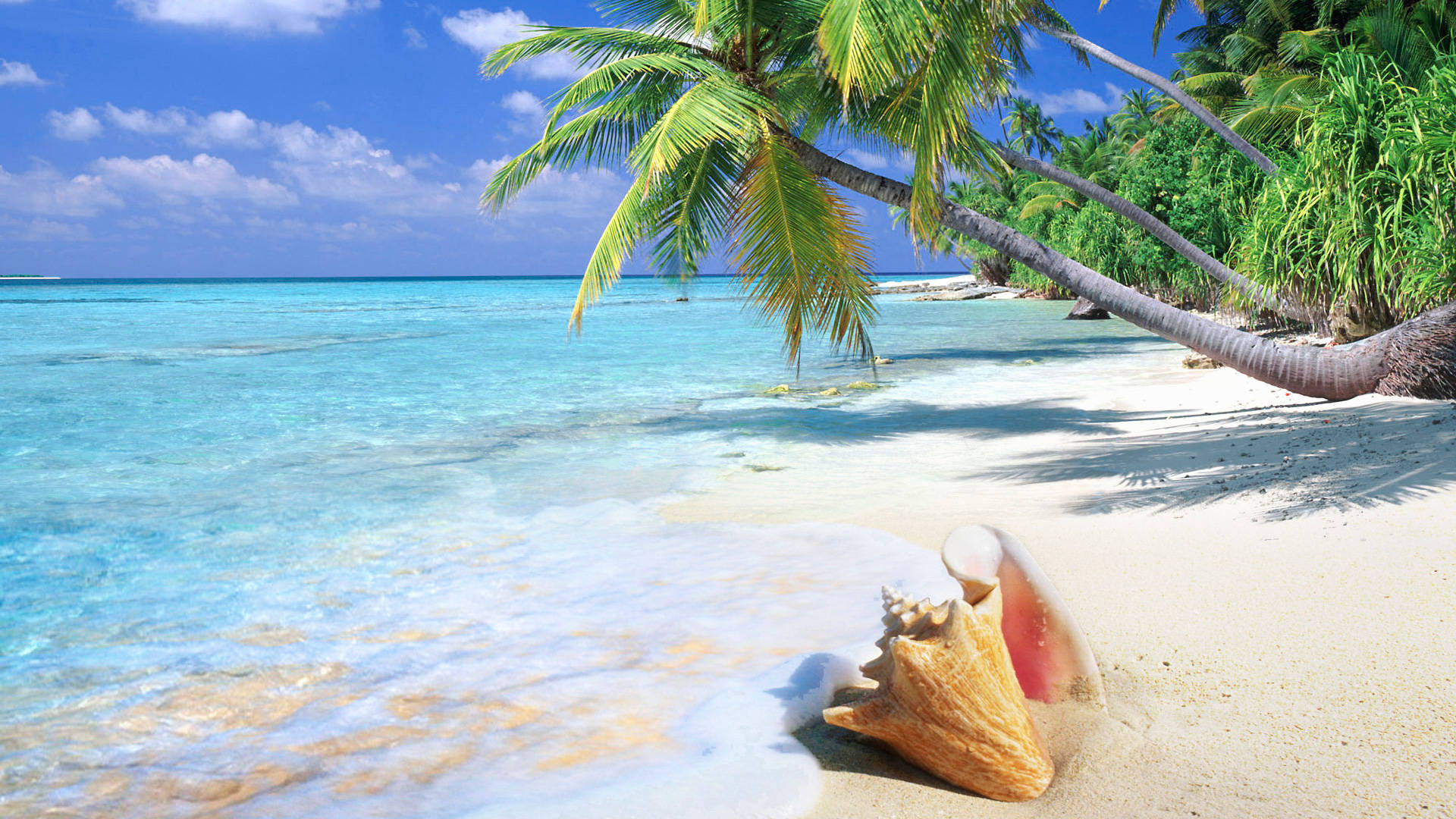 Tropical, turquoise waters, white sand, Full HD Desktop Wallpaper