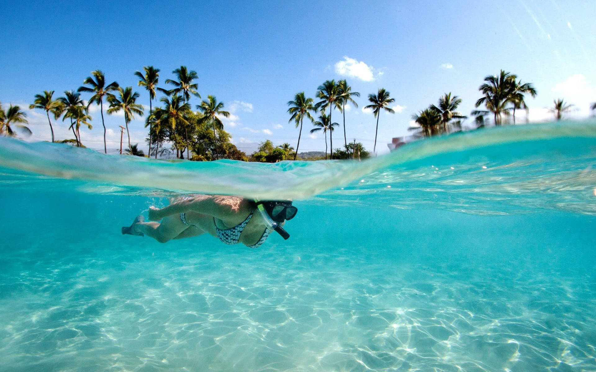 snorkeler, crystal clear turquoise water, palm trees, Full HD Desktop Wallpaper
