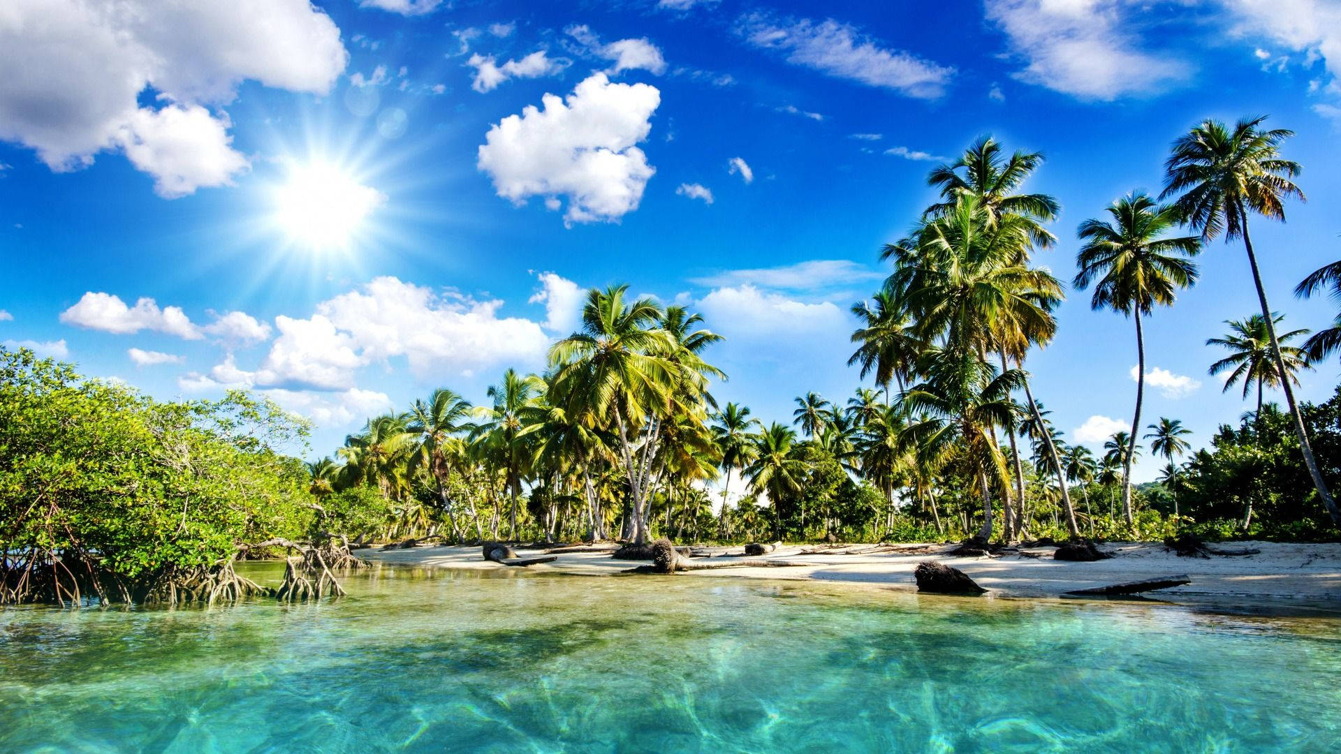 Mangrove and Coconut Beach, tropical paradise, turquoise waters, Full HD Desktop Wallpaper