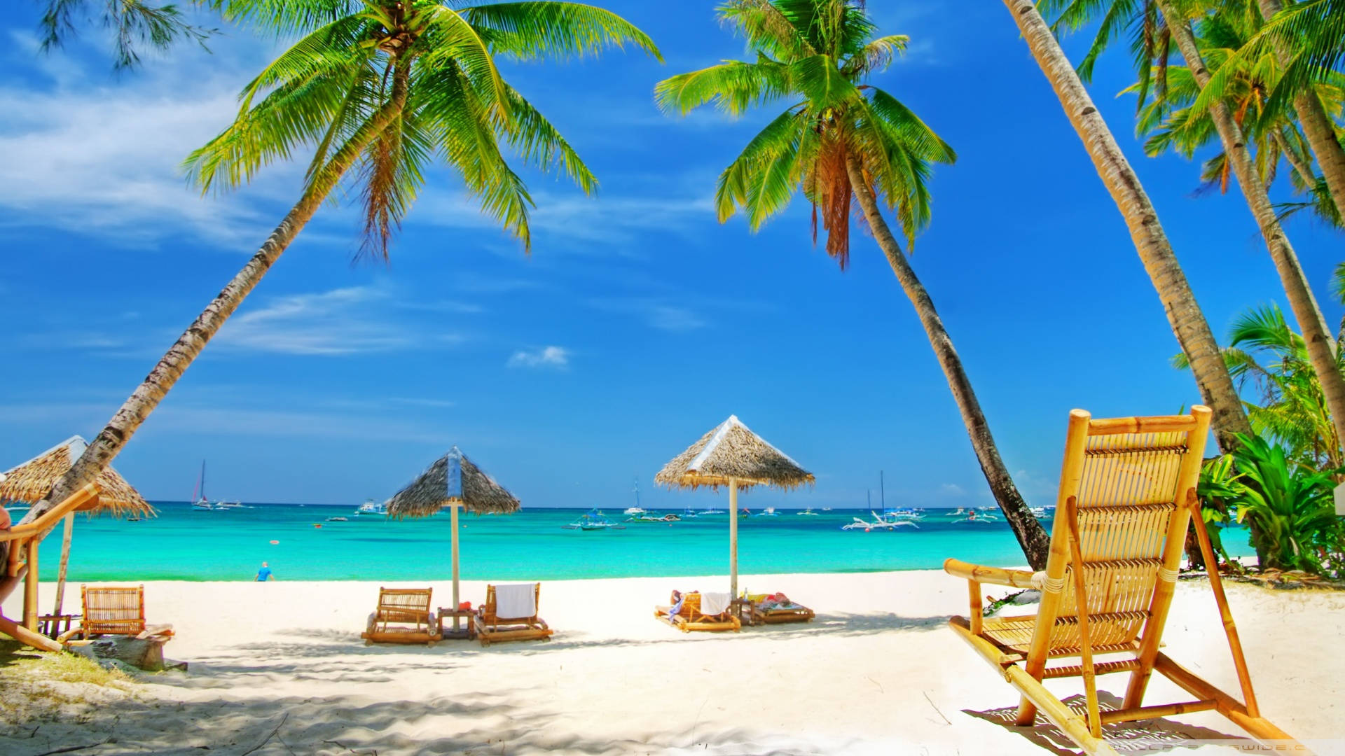tropical beach, palm trees, white sand, Full HD Desktop Wallpaper
