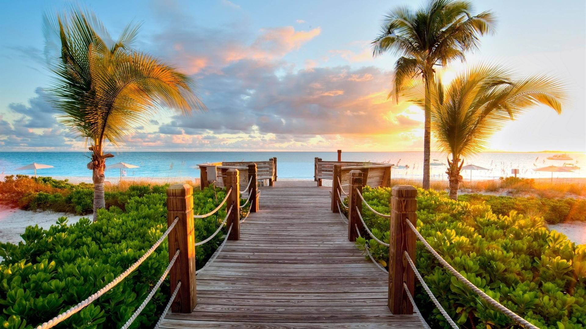 serene tropical boardwalk area, palm trees, tranquil beach, Full HD Desktop Wallpaper