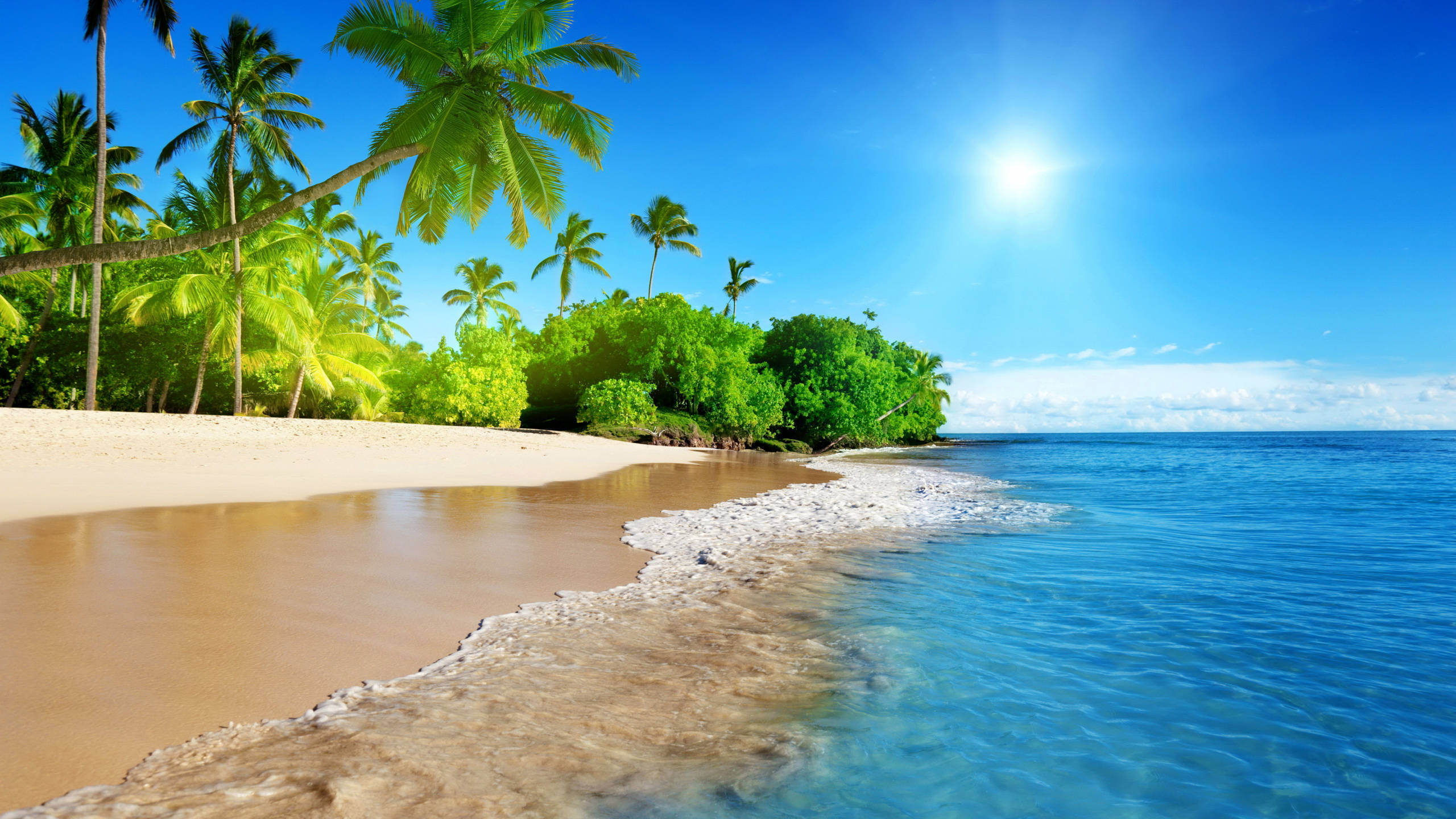 tropical seascape, turquoise waters, pristine sandy beach, 2K Desktop Wallpaper