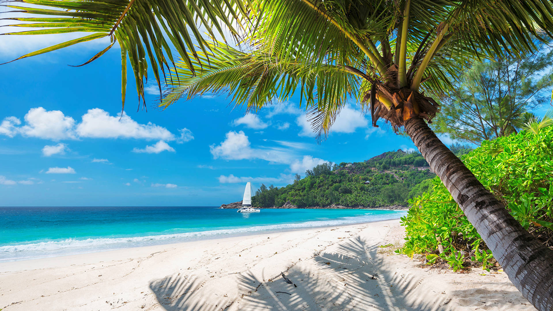 tropical island, docking yacht, turquoise waters, Full HD Desktop Wallpaper
