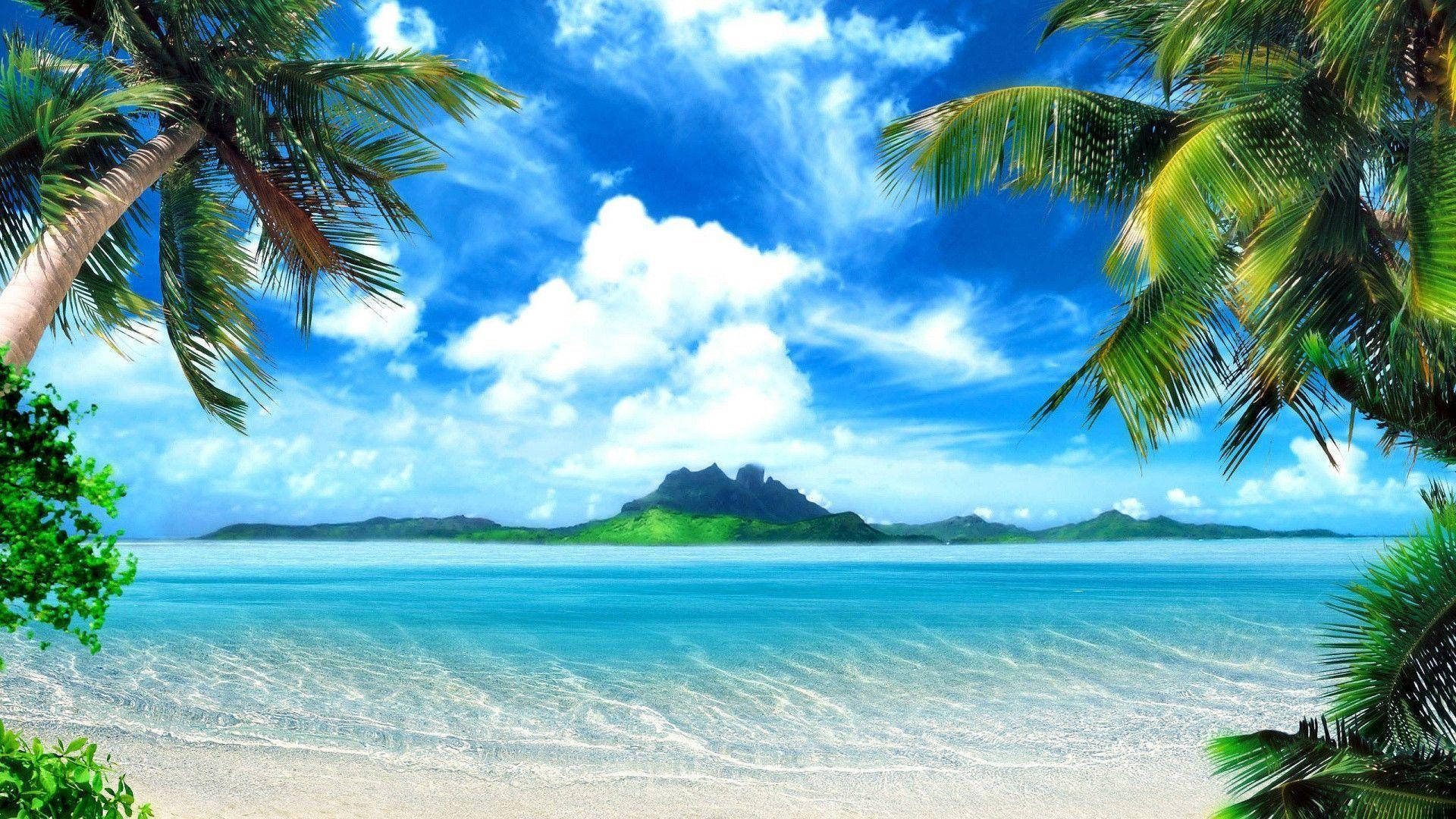 tropical beach, palm fronds, turquoise water, Full HD Desktop Wallpaper