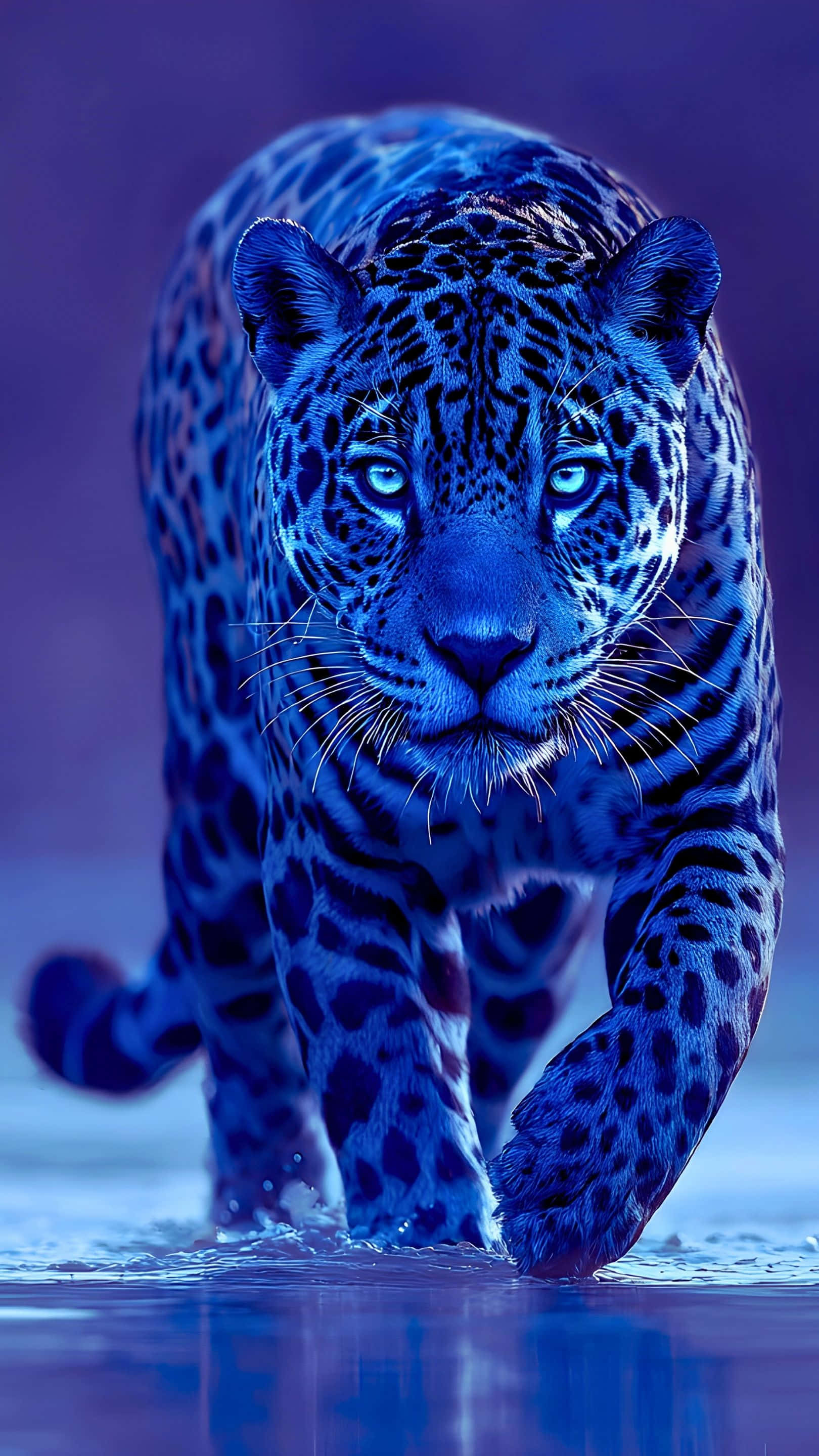 mystical blue jaguar, tranquil water, piercing eyes, 2K Phone Wallpaper