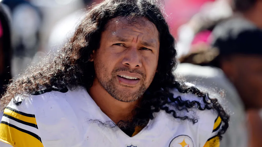 Troy Polamalu