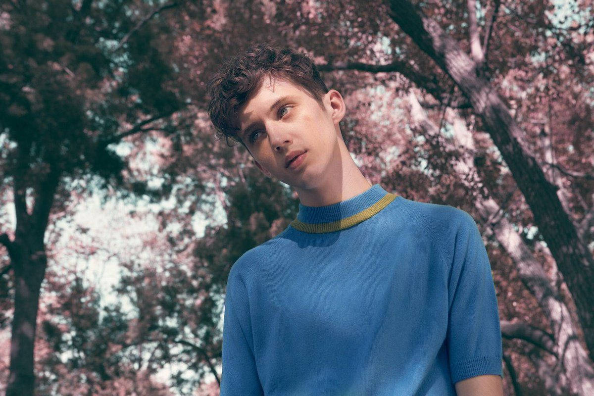 Troye Sivan, blue sweater, pink cherry blossom trees, SD Desktop Wallpaper