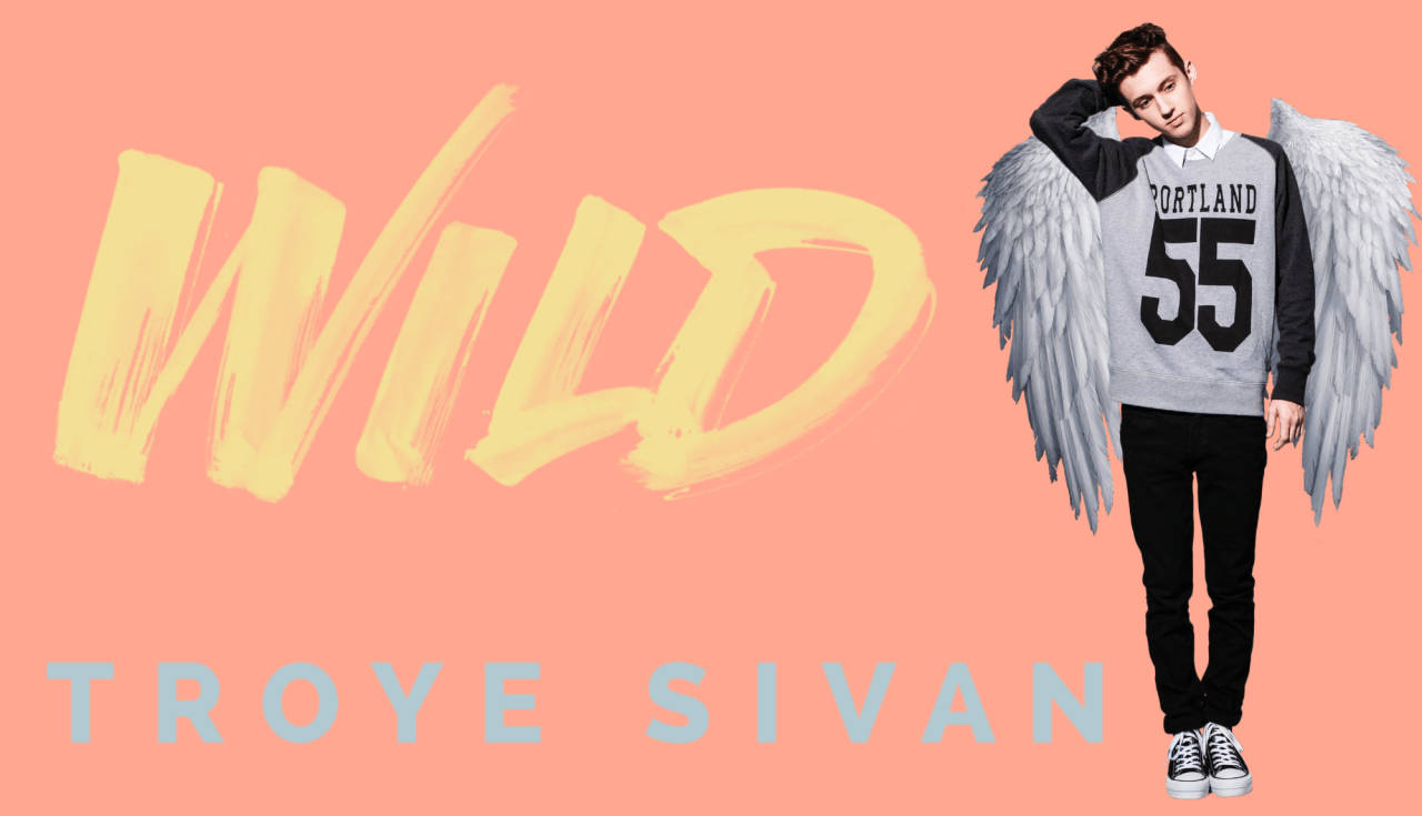 Troye Sivan, angel wings, Portland 55 sweatshirt, HD Desktop Wallpaper