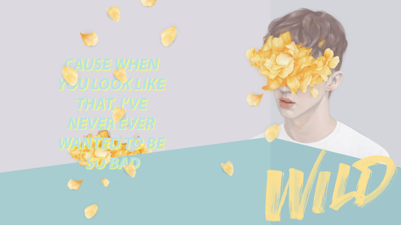 Troye Sivan, Wild, yellow petals, HD Desktop Wallpaper