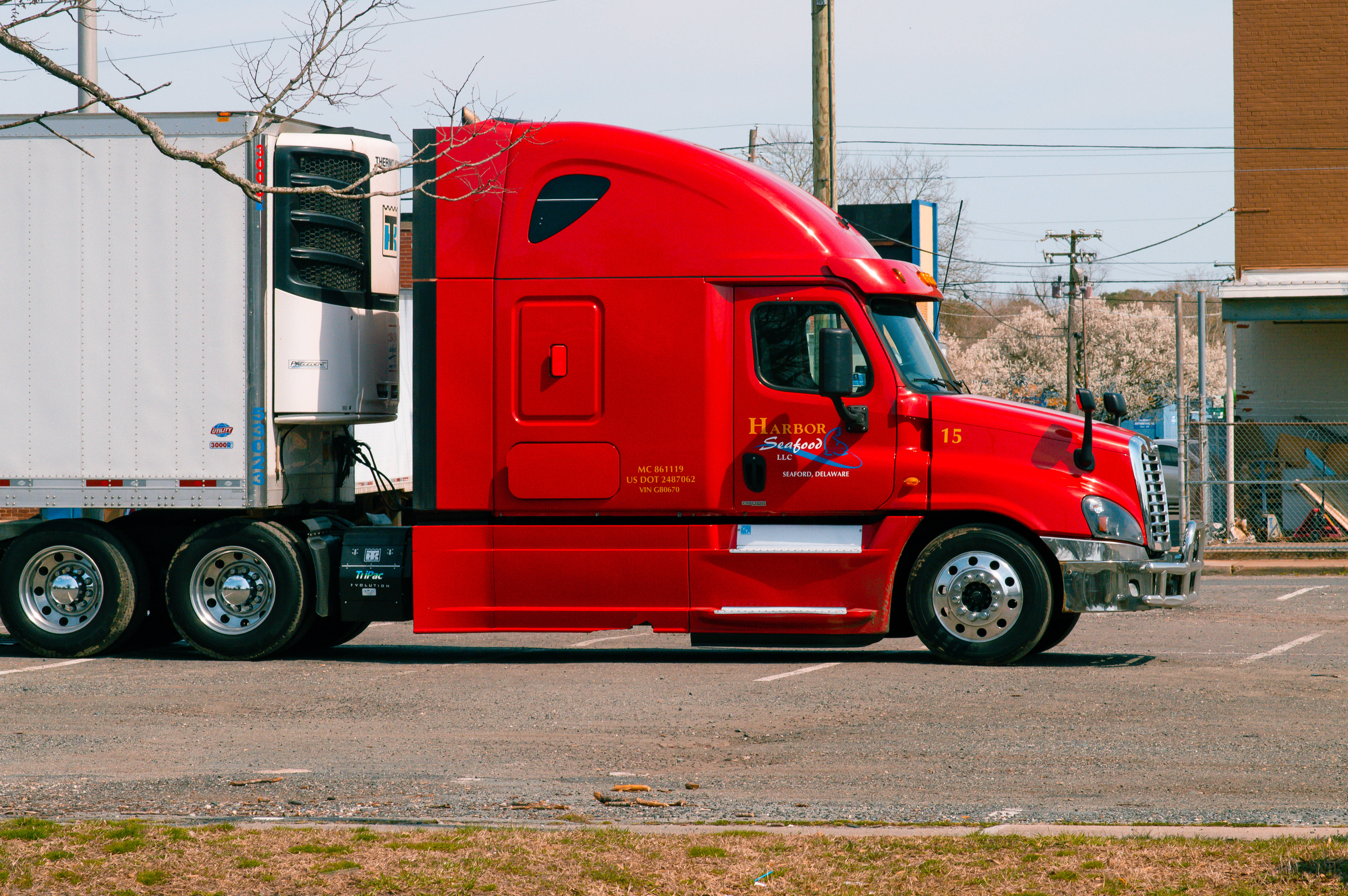 red semi-truck, white trailer, clear sky, 5K Desktop Wallpaper