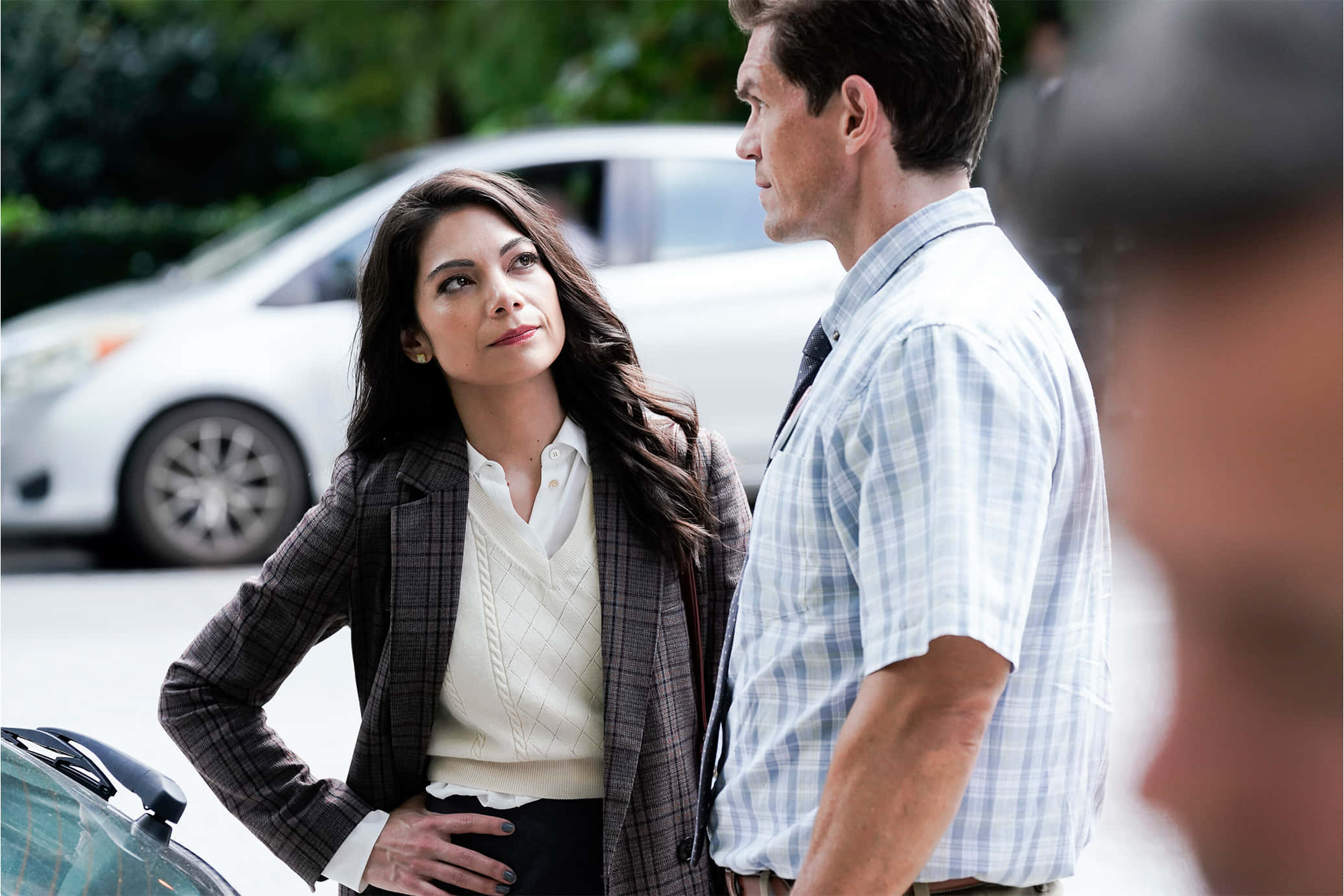True Lies, plaid blazer, checkered shirt, Full HD Desktop Wallpaper