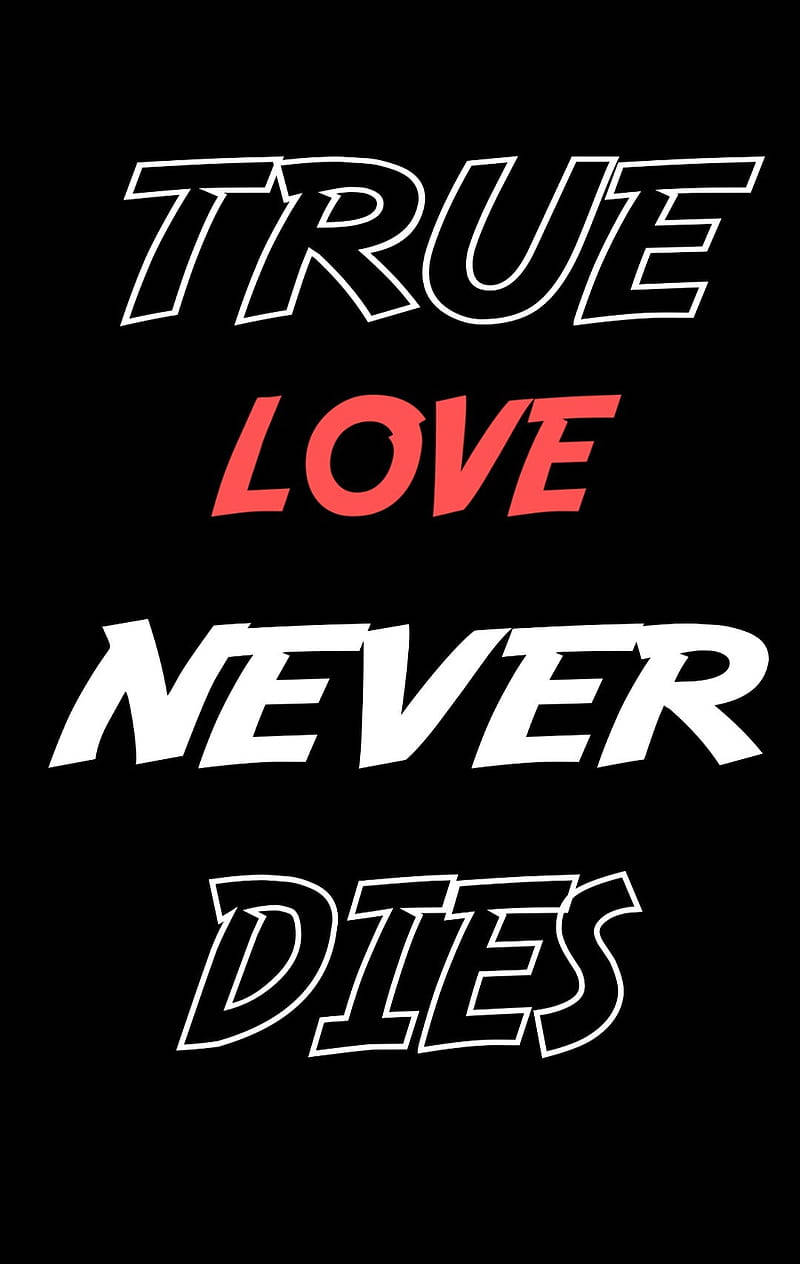 TRUE LOVE NEVER DIES, white, red, SD Phone Wallpaper