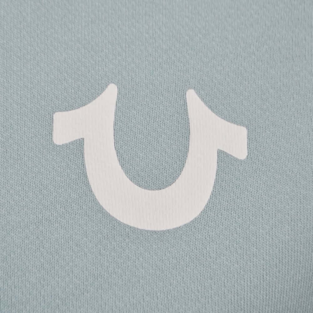 True Religion, white horse logo, blue shirt, SD Desktop Wallpaper