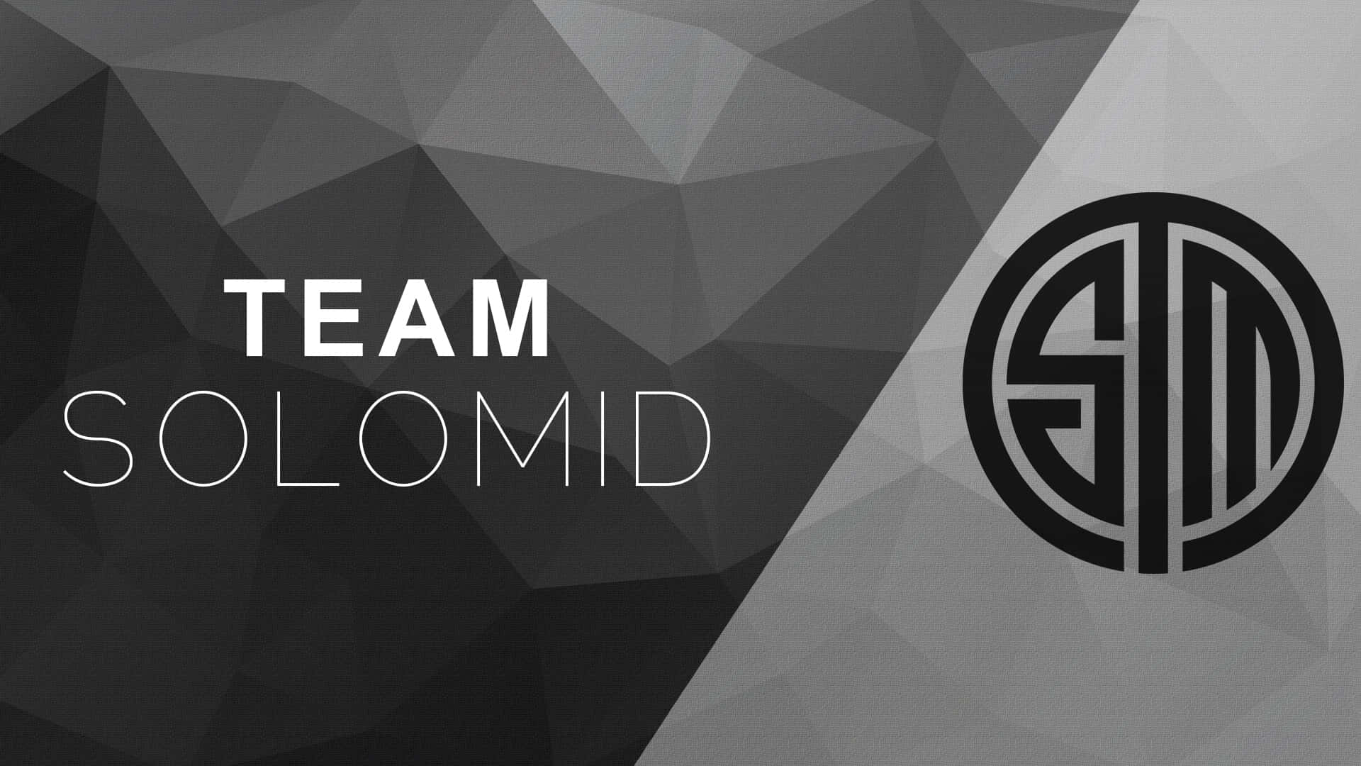 TSM, geometric, monochrome, Full HD Desktop Wallpaper