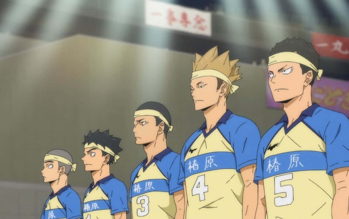 Tsubakihara, 1147 x 722, anime volleyball players, SD Desktop Wallpaper