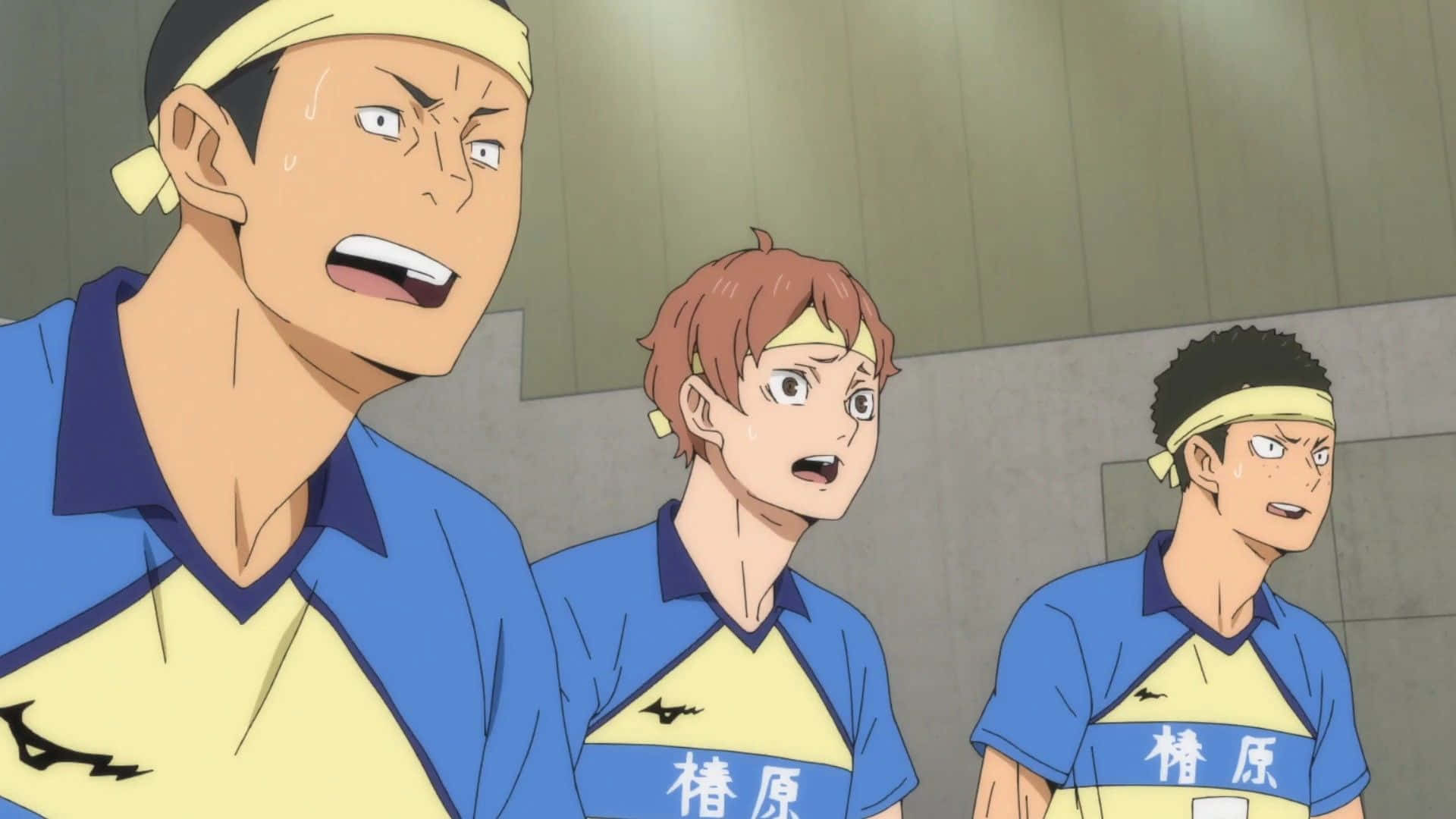 Tsubakihara, 1920 x 1080, anime volleyball players, Full HD Desktop Wallpaper