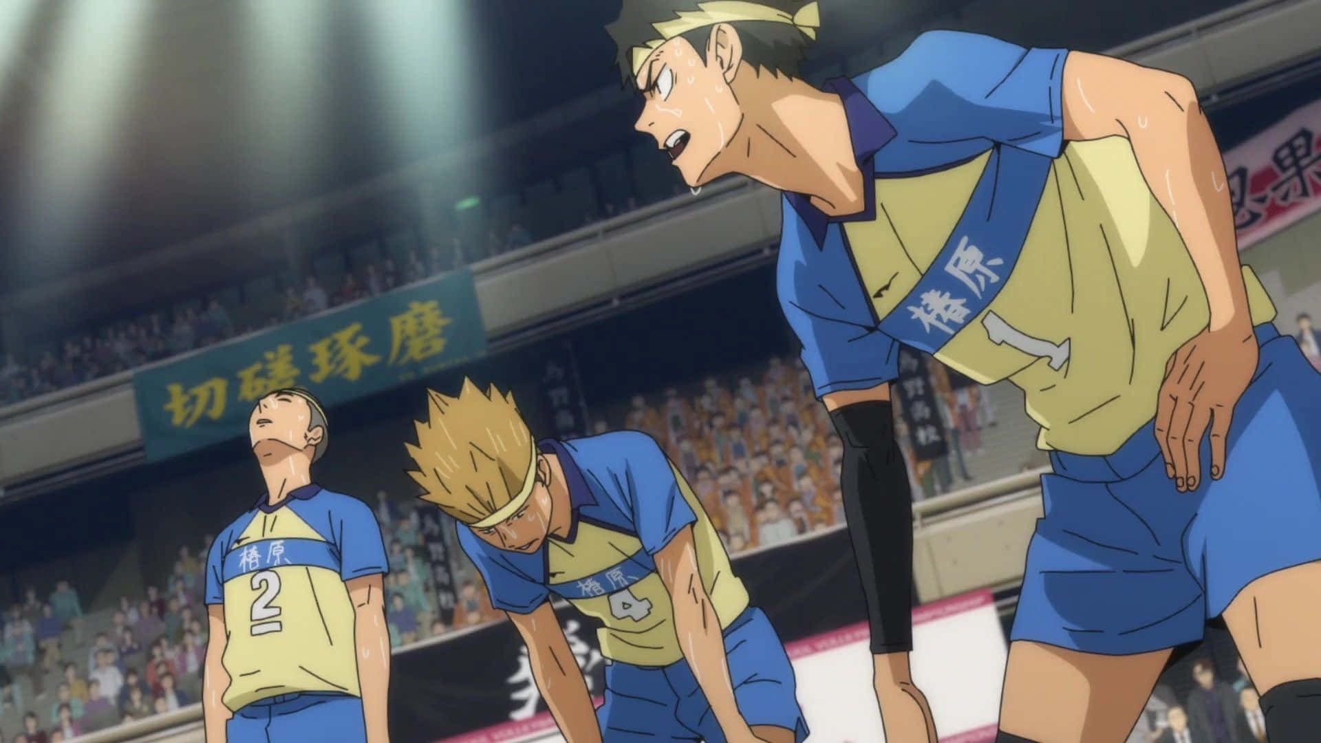 Tsubakihara, 1920 x 1080, anime volleyball players, Full HD Desktop Wallpaper