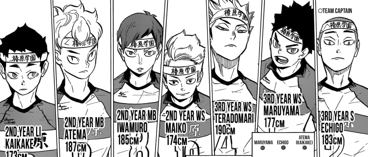 Tsubakihara, black and white manga panels, seven volleyball players, HD Desktop Wallpaper