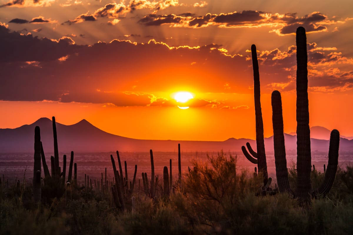 Tucson, Orange Sunset, saguaro cacti, SD Desktop Wallpaper