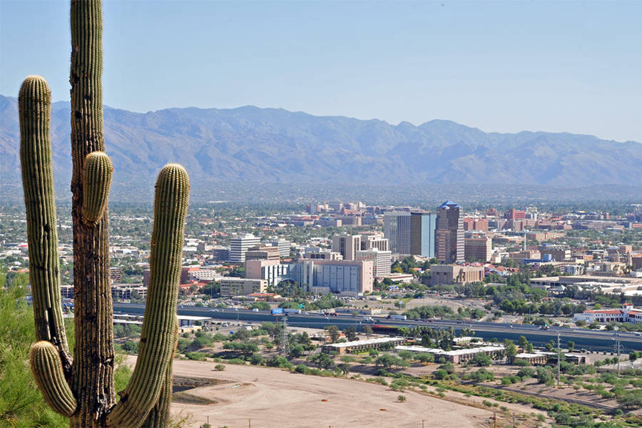 saguaro cactus, desert city, distant mountains, SD Desktop Wallpaper