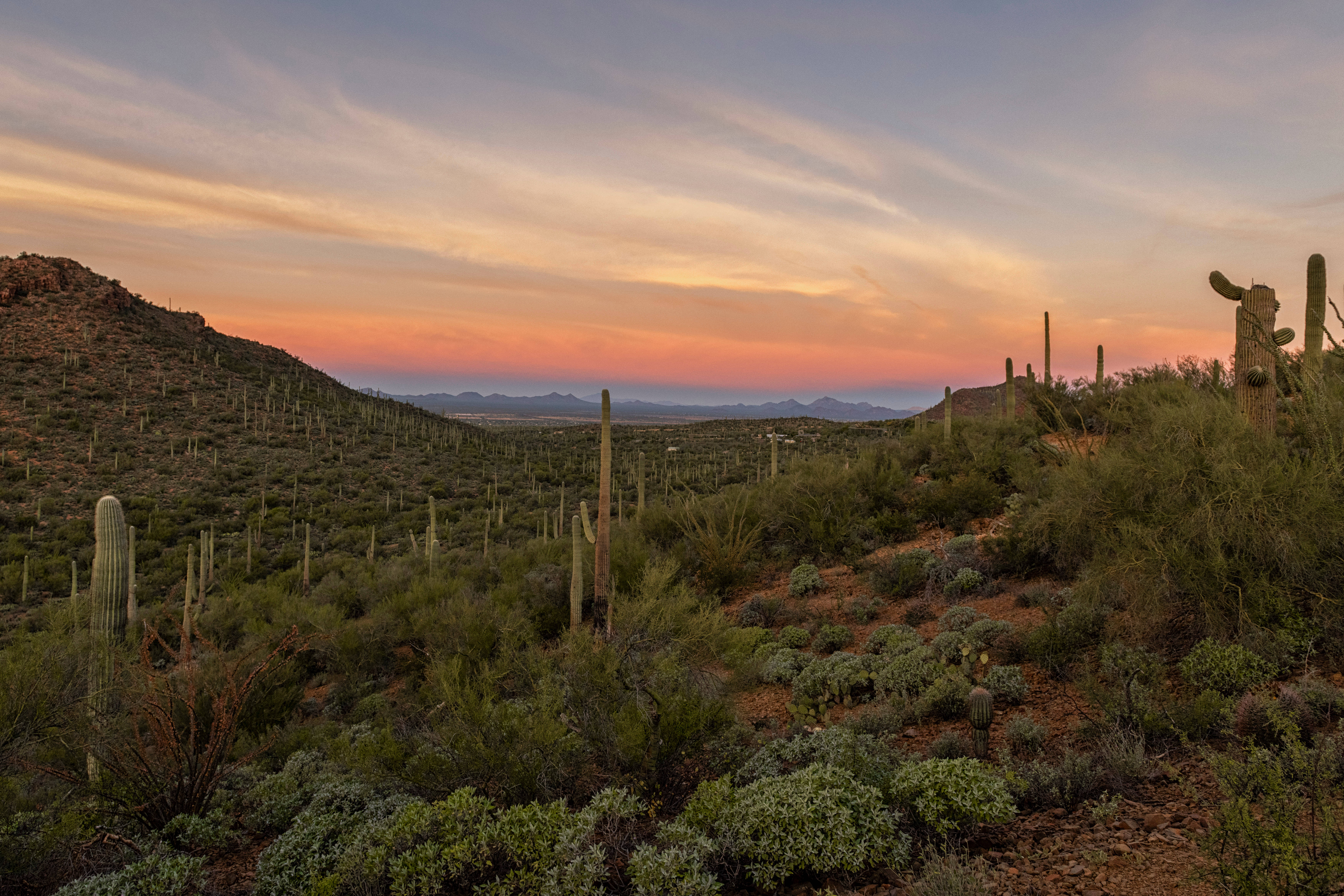 Tucson, desert, sunset, 5K Desktop Wallpaper
