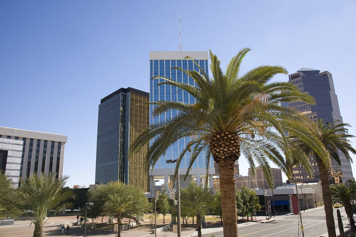 Tucson, palm trees, glass skyscrapers, SD Desktop Wallpaper