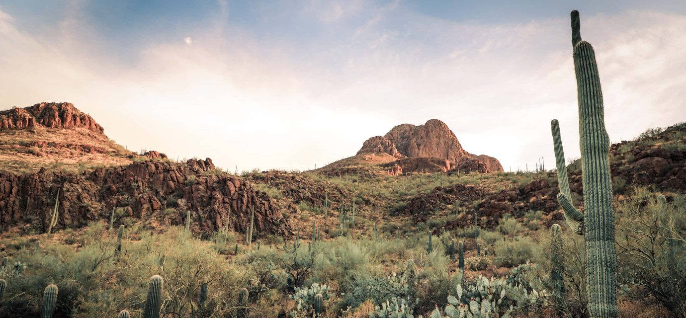 Tucson, saguaro cacti, red rock formations, HD Desktop Wallpaper