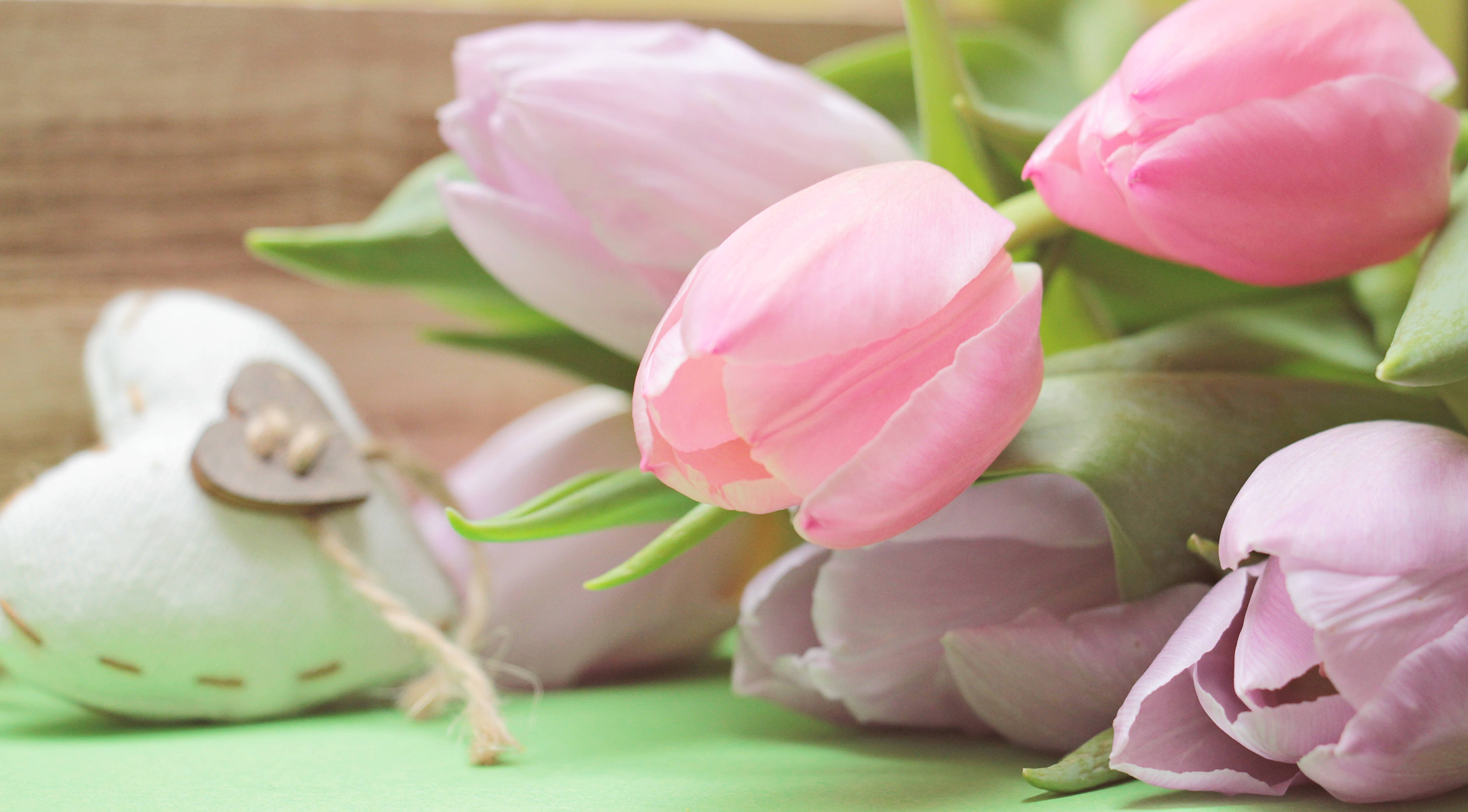 pink color tulips, white fabric heart, green surface, 4K Desktop Wallpaper